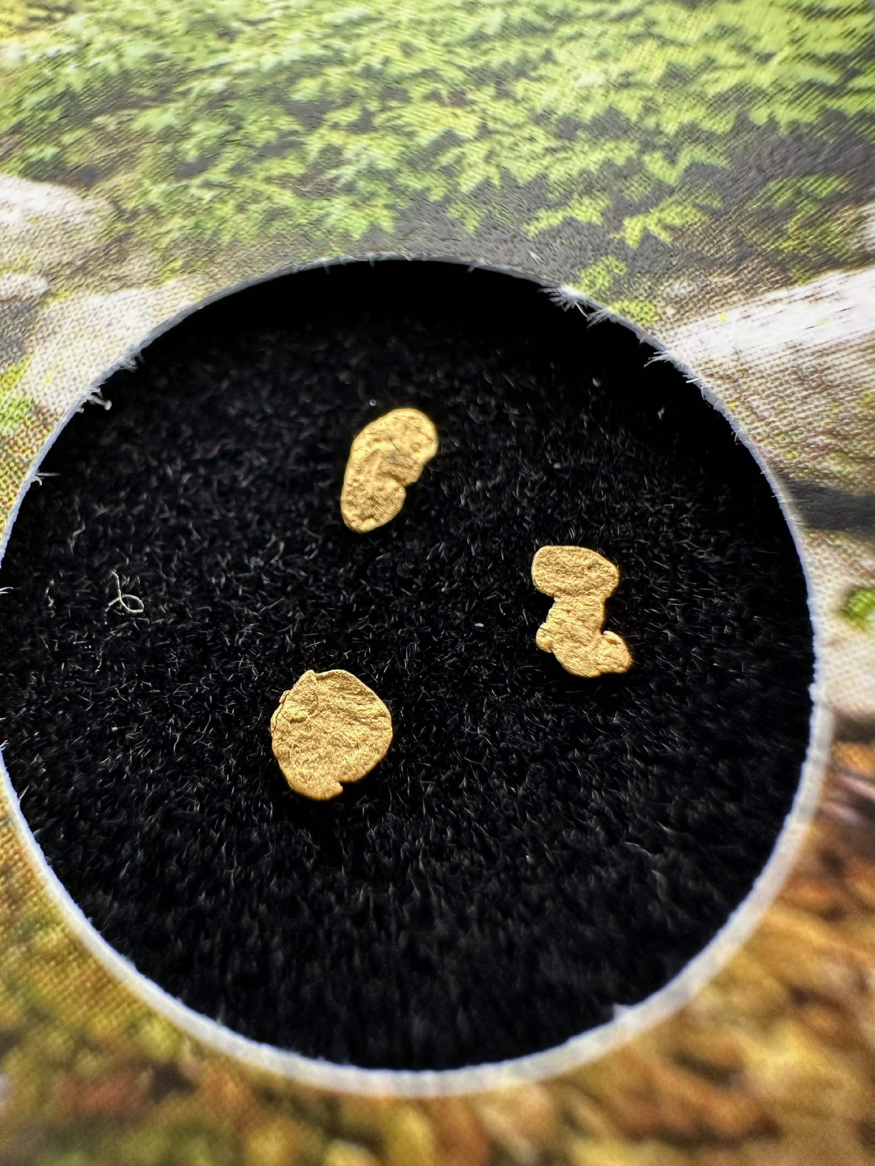 Gold in box – Bojov creek, CZ - ZL215
