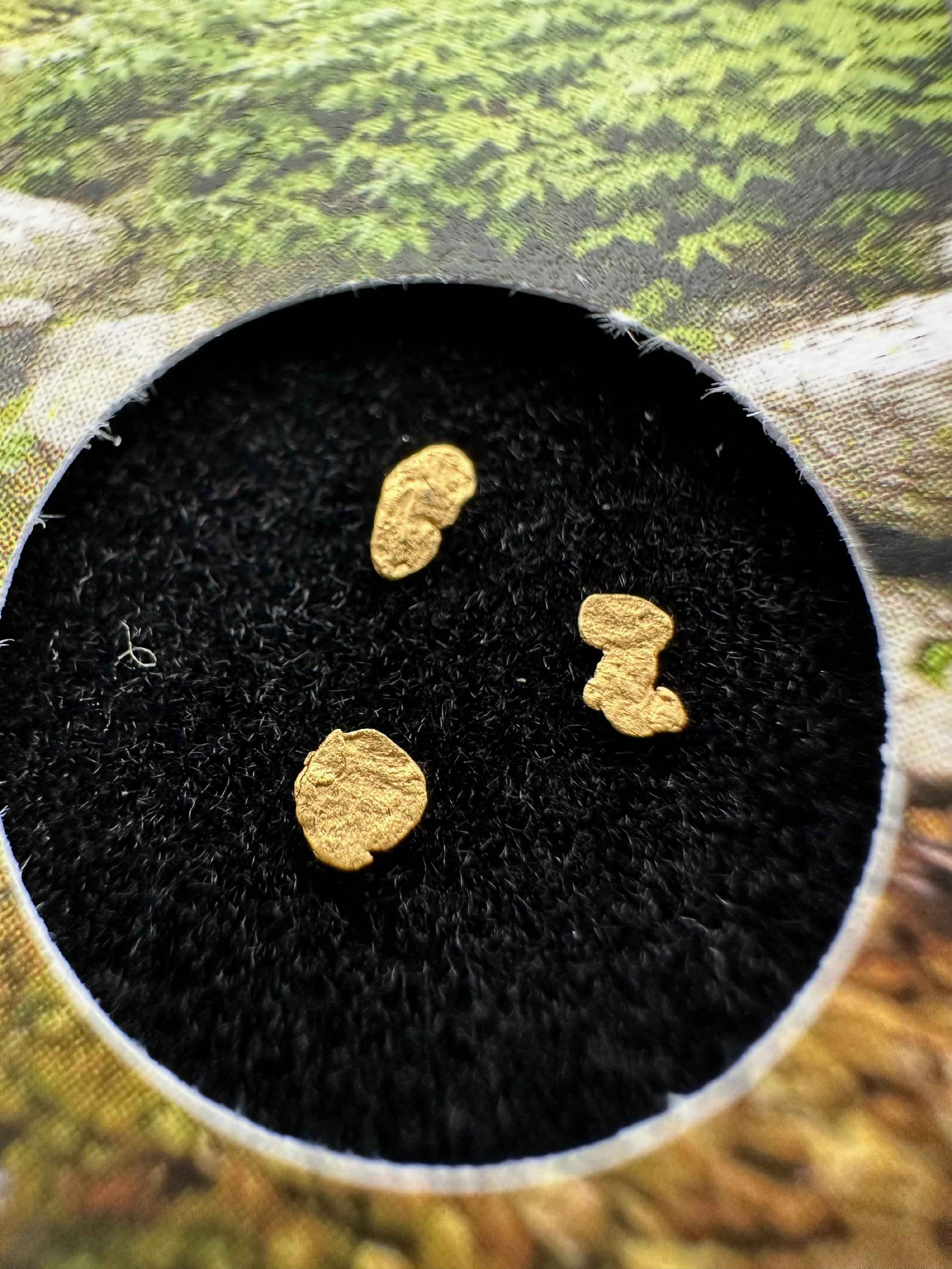 Gold in box – Bojov creek, CZ - ZL215