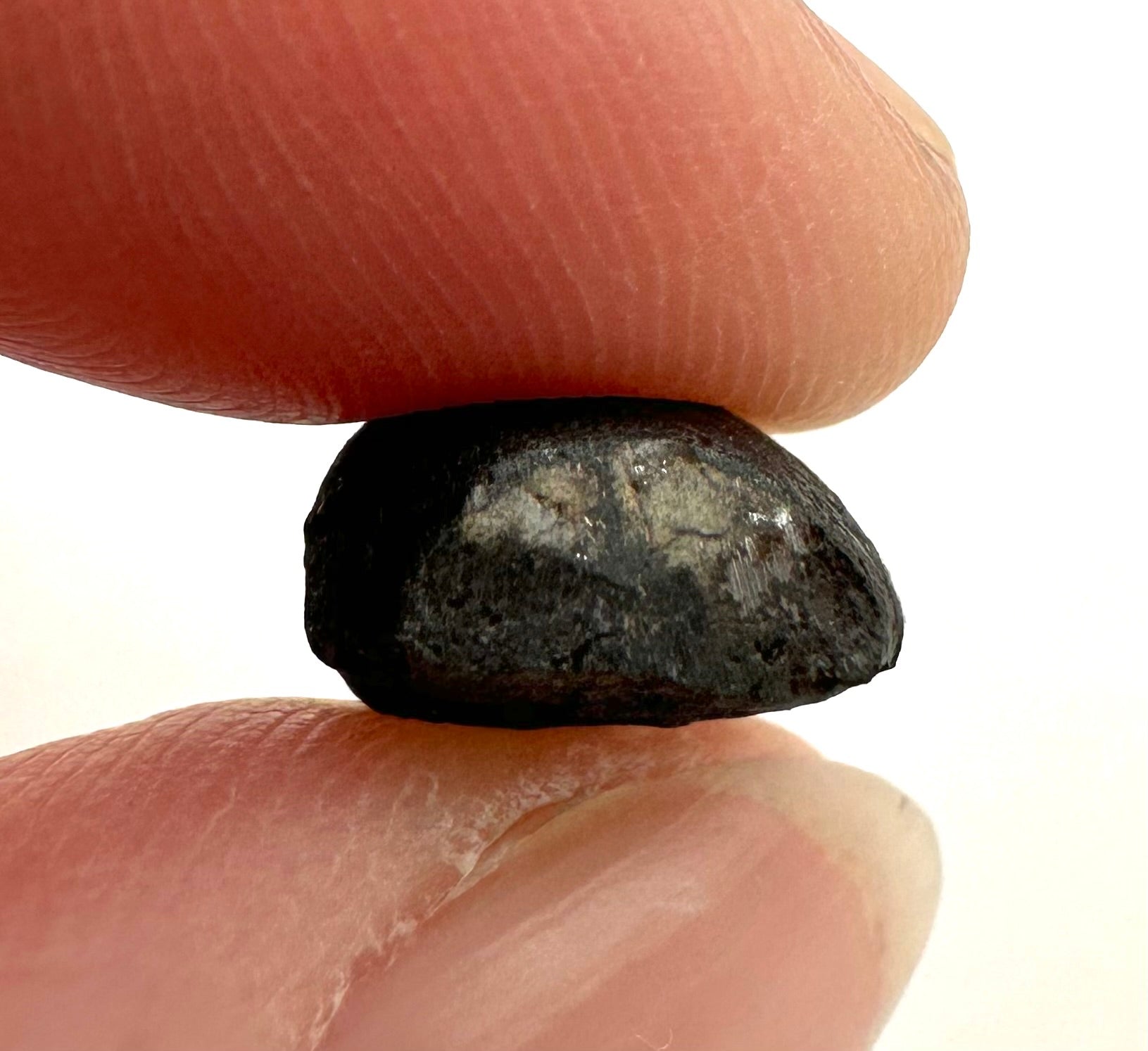 Meteorite Chelyabinsk 1,1g – Russia - MECE23