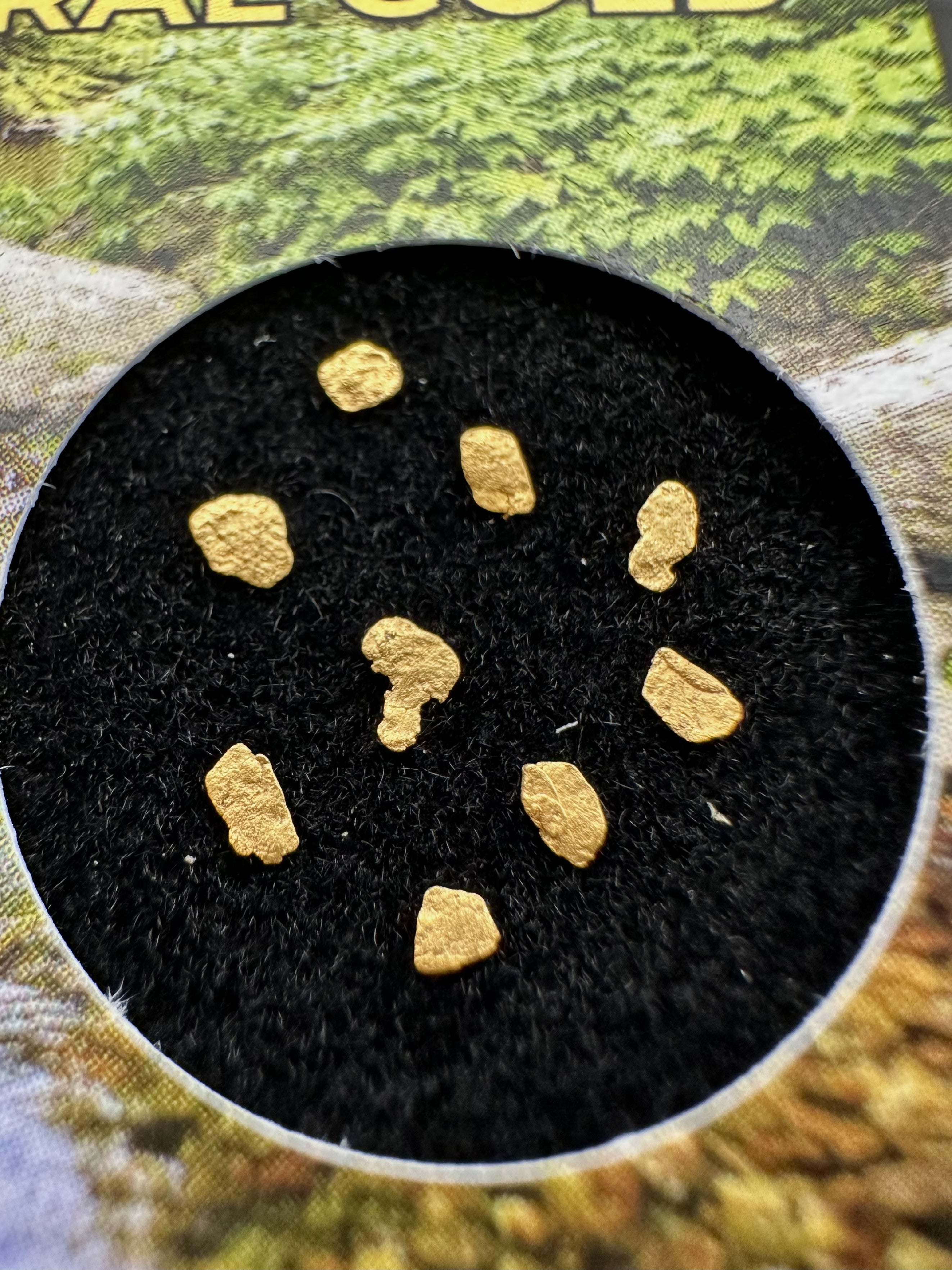 Gold in box – Bojov creek, CZ - ZL217