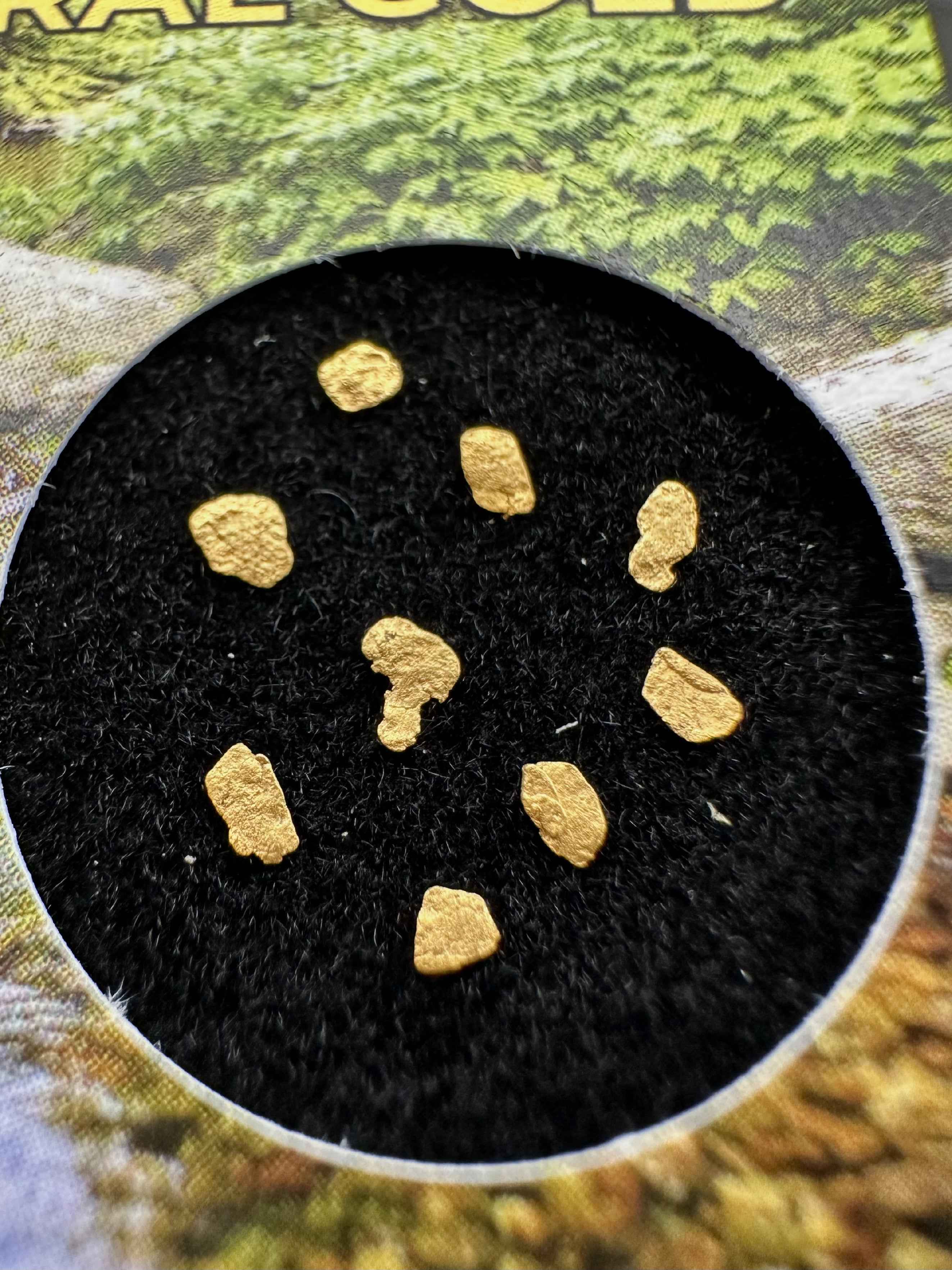 Gold in box – Bojov creek, CZ - ZL217