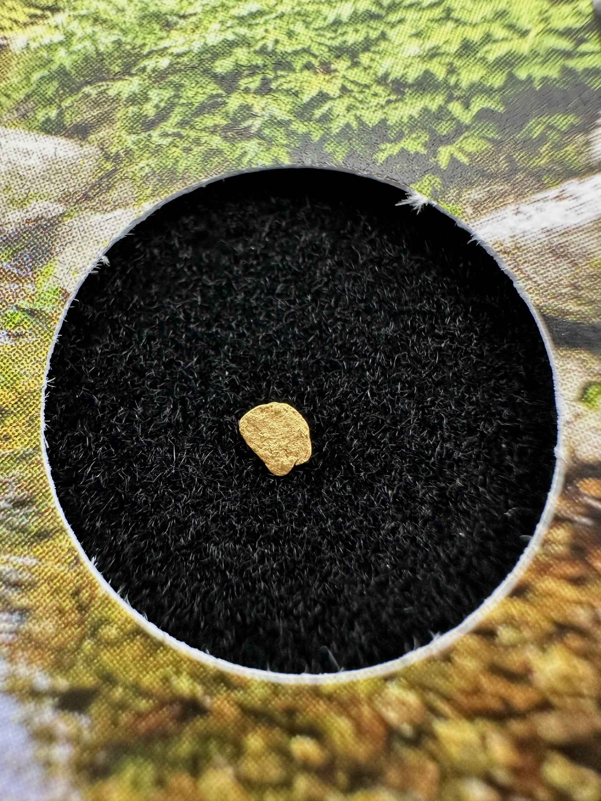 Gold in box – Bojov creek, CZ - ZL218