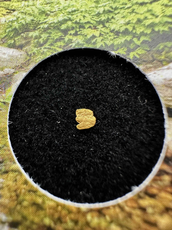 Oro