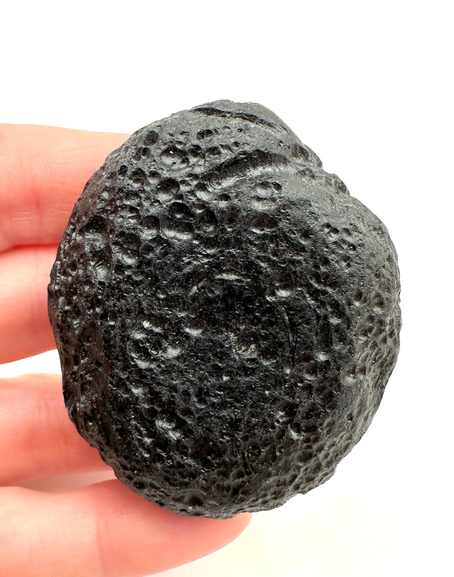 Vietnamite grezza nera discoidale con superficie coperta di cavità tondeggianti concentriche