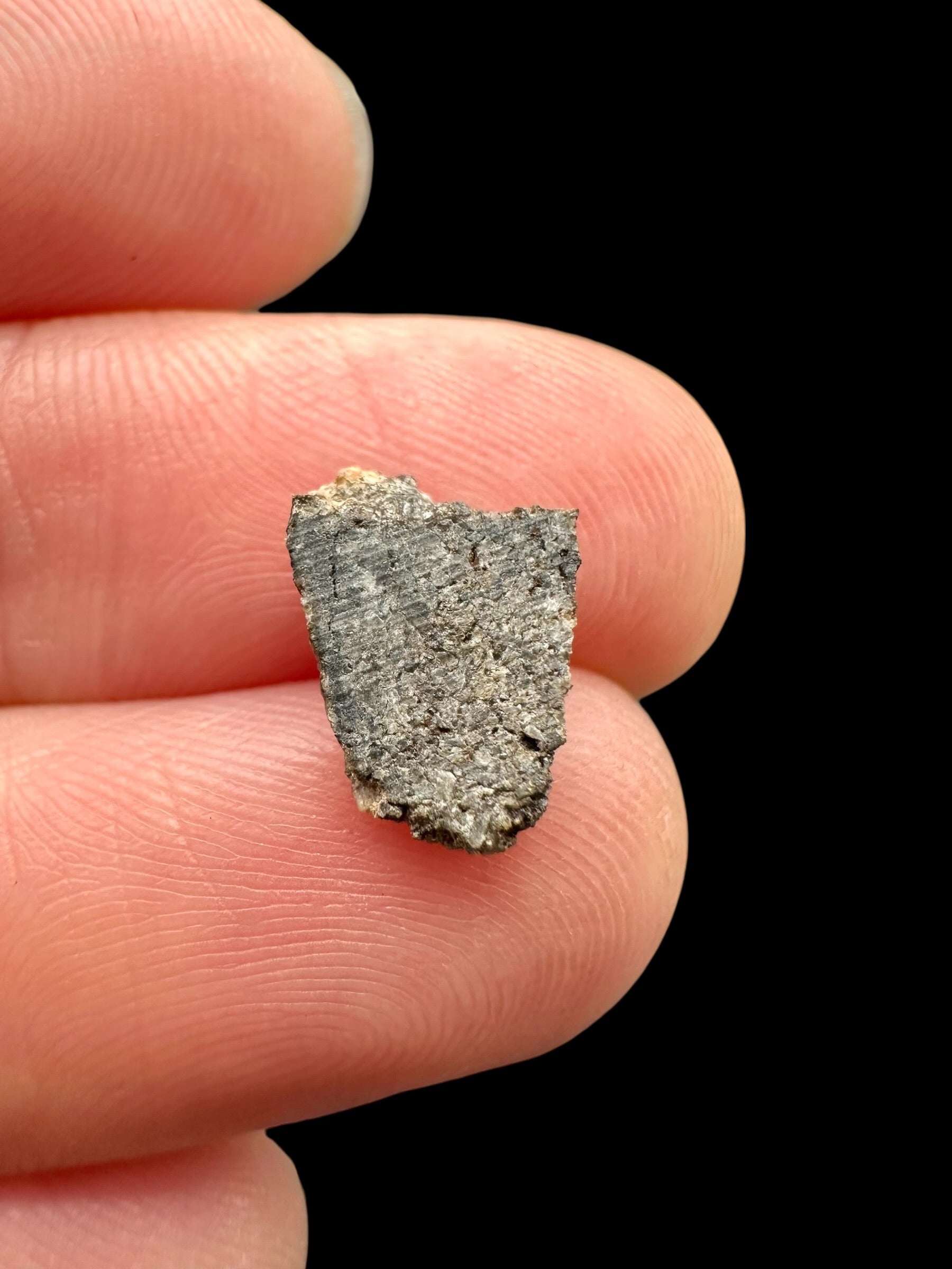 Meteorite Ksar Ghilane 022 – 0,3g – Tunisia - MEKG31