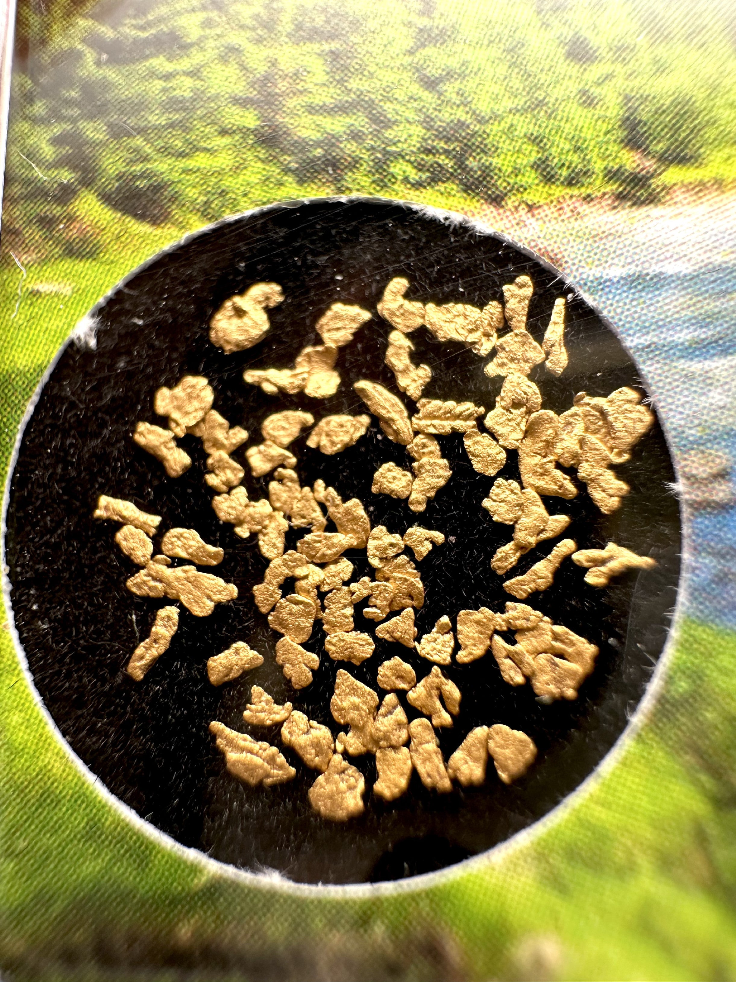 0,1g of gold in box – Bela river, CZ - ZL225