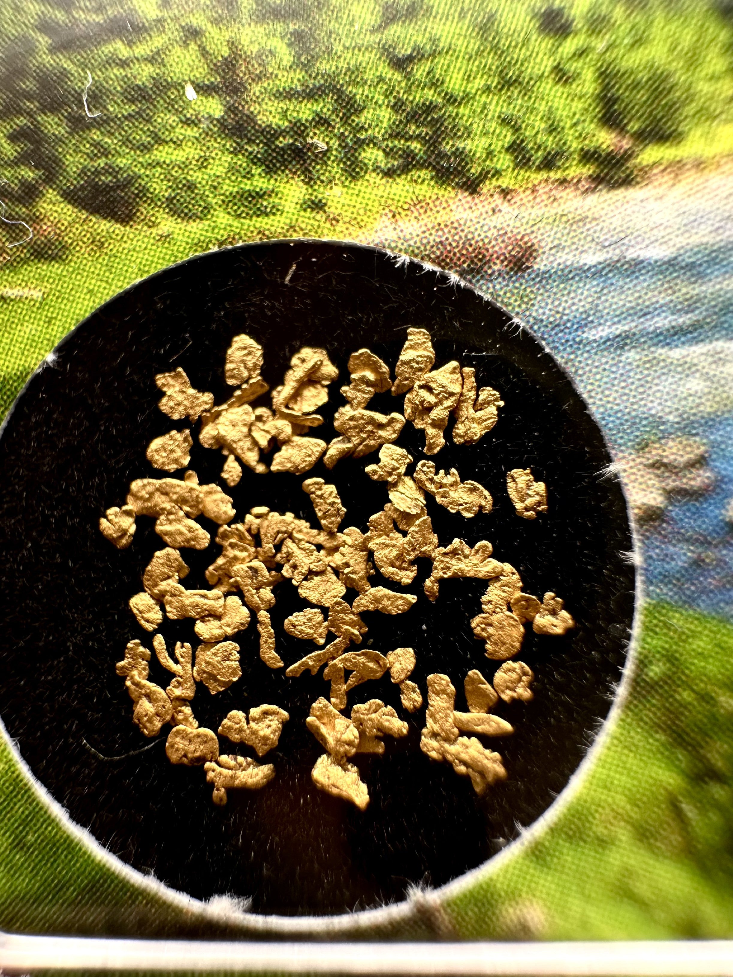 0,1g of gold in box – Bela river, CZ - ZL227