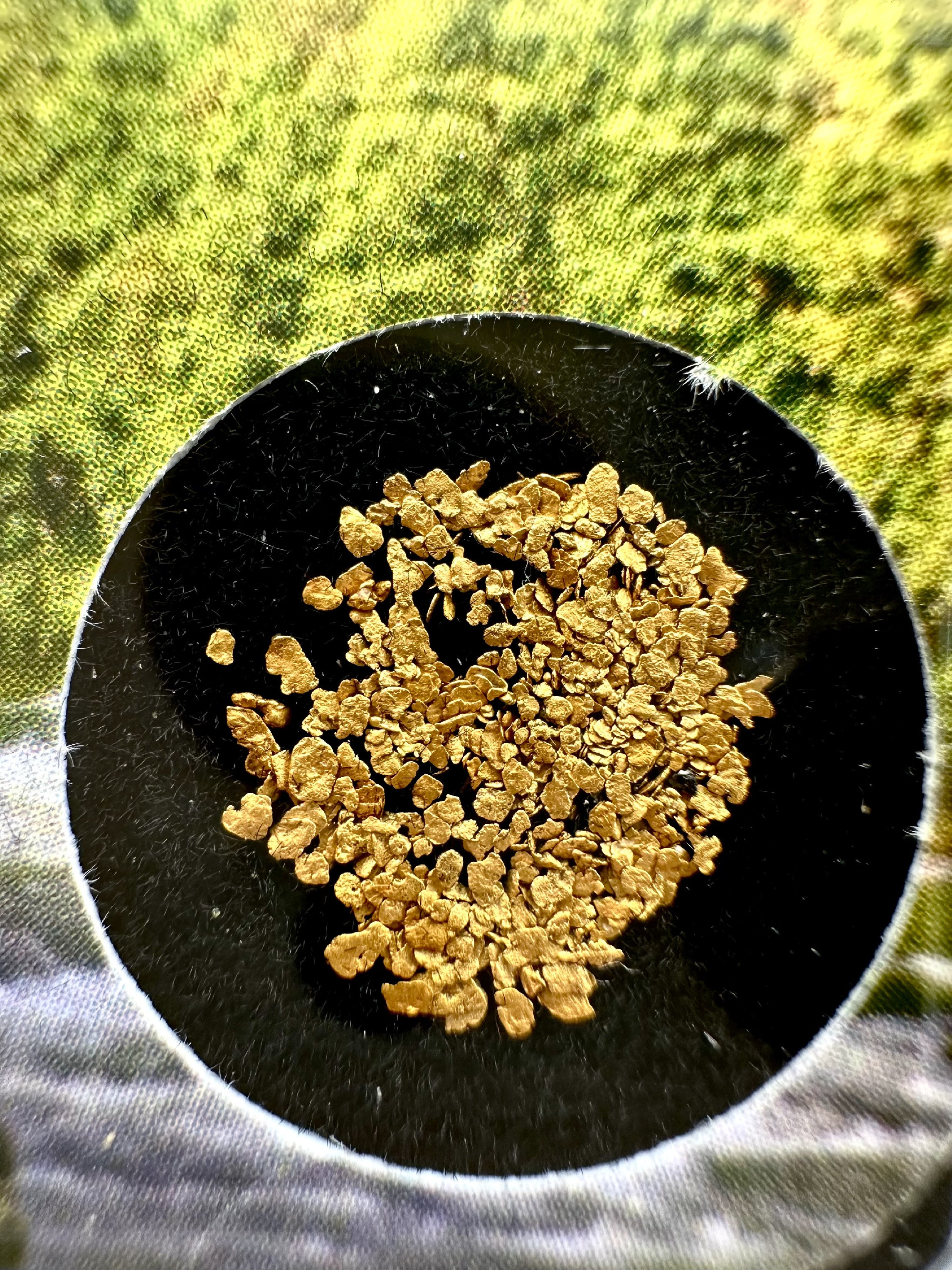 0,1g of gold in box – Otava, CZ - ZL230