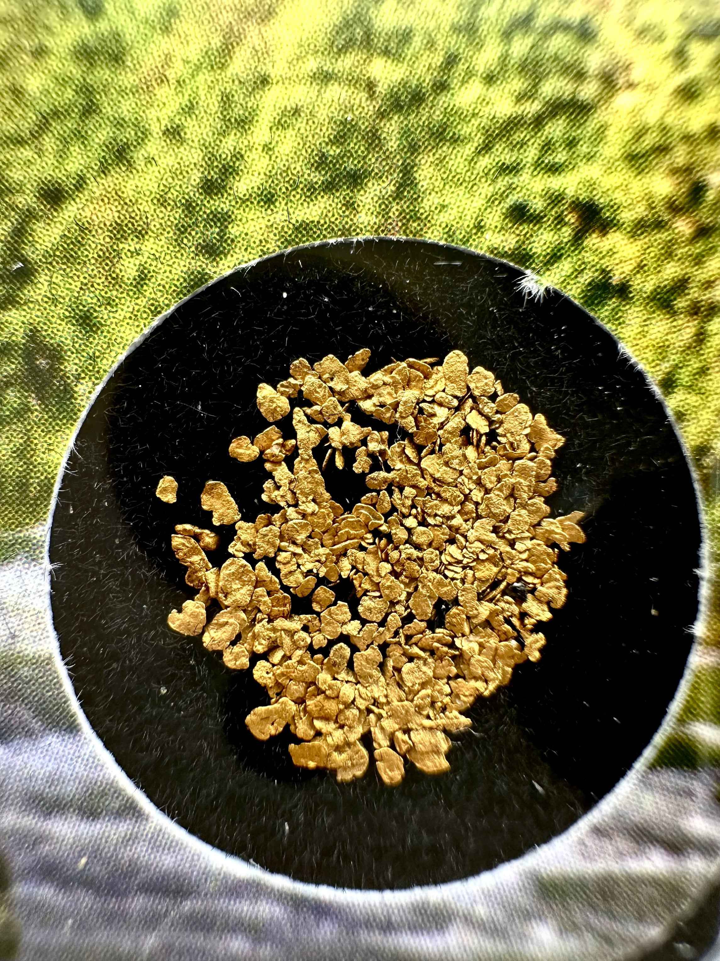 0,1g di Oro in scatola – Otava, CZ - ZL230