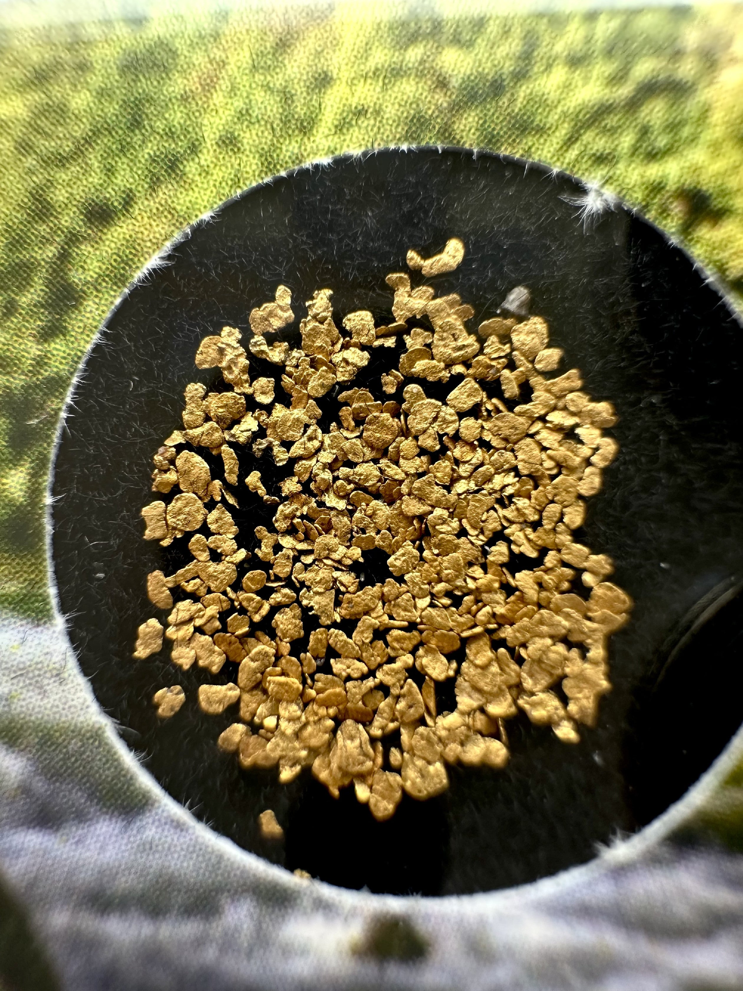 0,1g of gold in box – Otava, CZ - ZL232