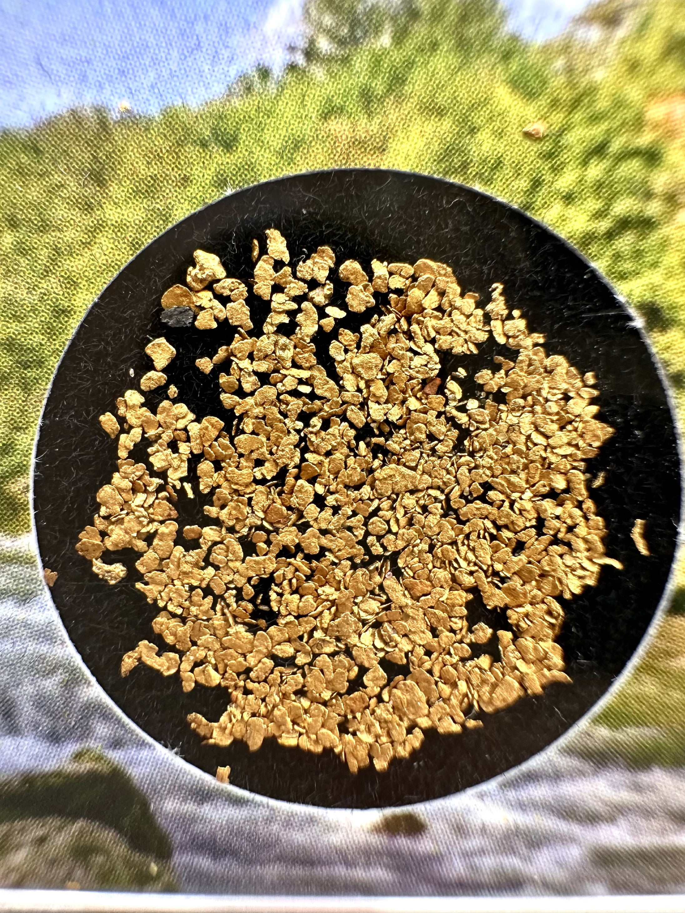 0,2g of gold in box – Otava, CZ