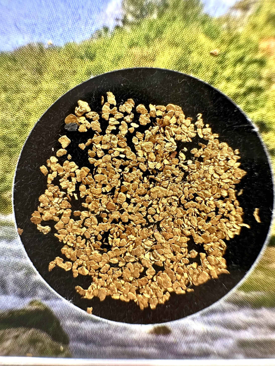 Pagliuzze di oro nativo grezzo del fiume Otava in scatolina trasparente