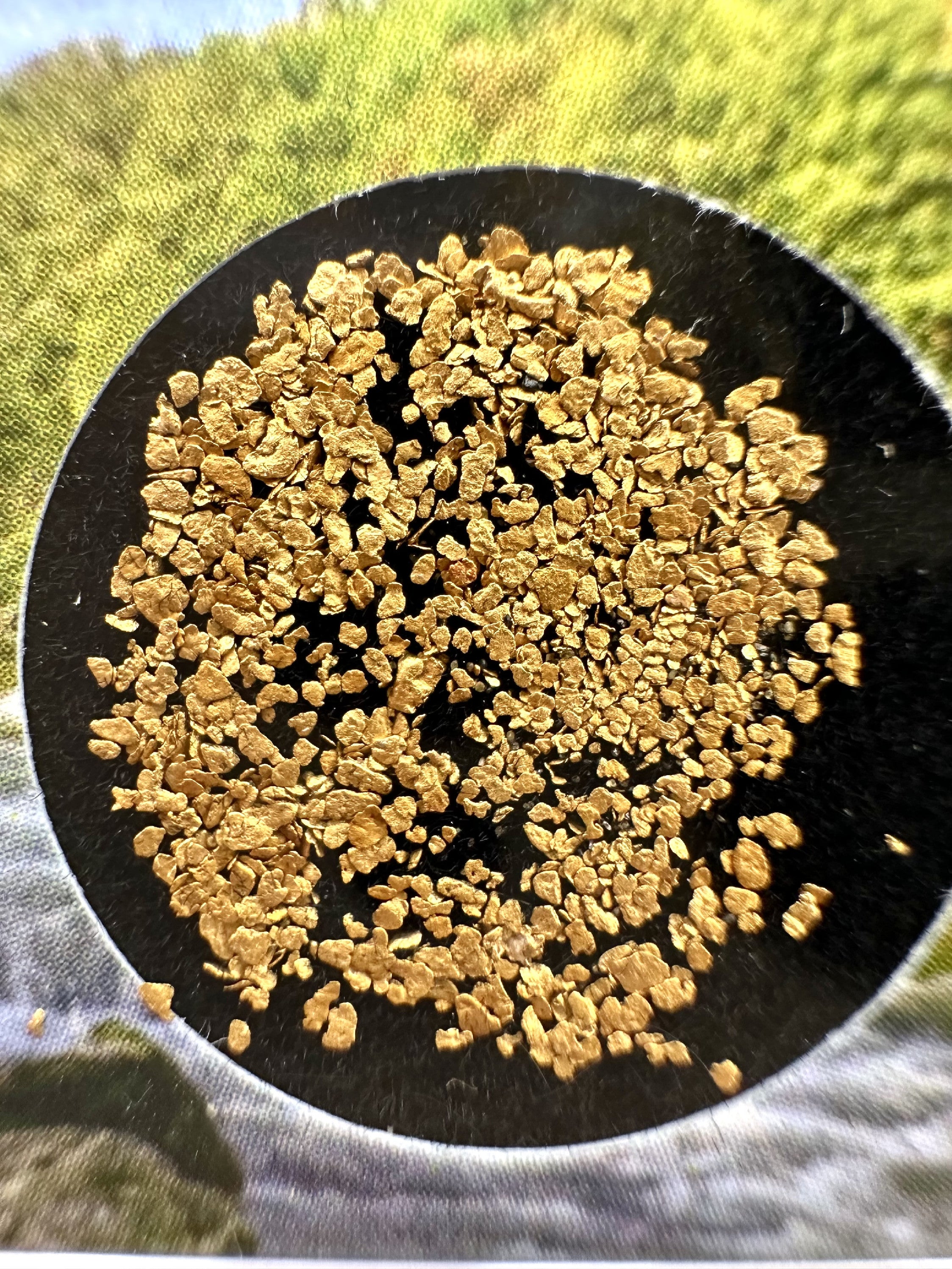 0,2g of gold in box – Otava, CZ - ZL235