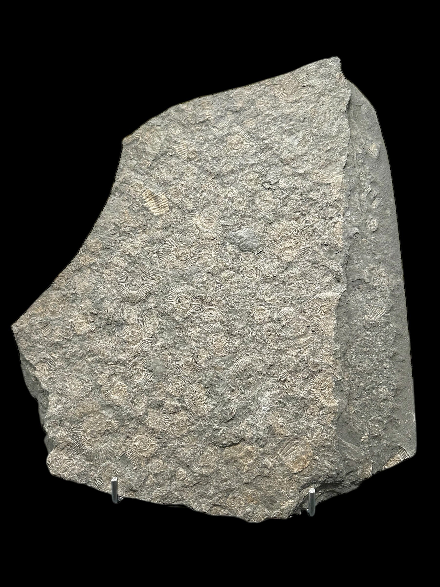 Iron stand - STOJ22
