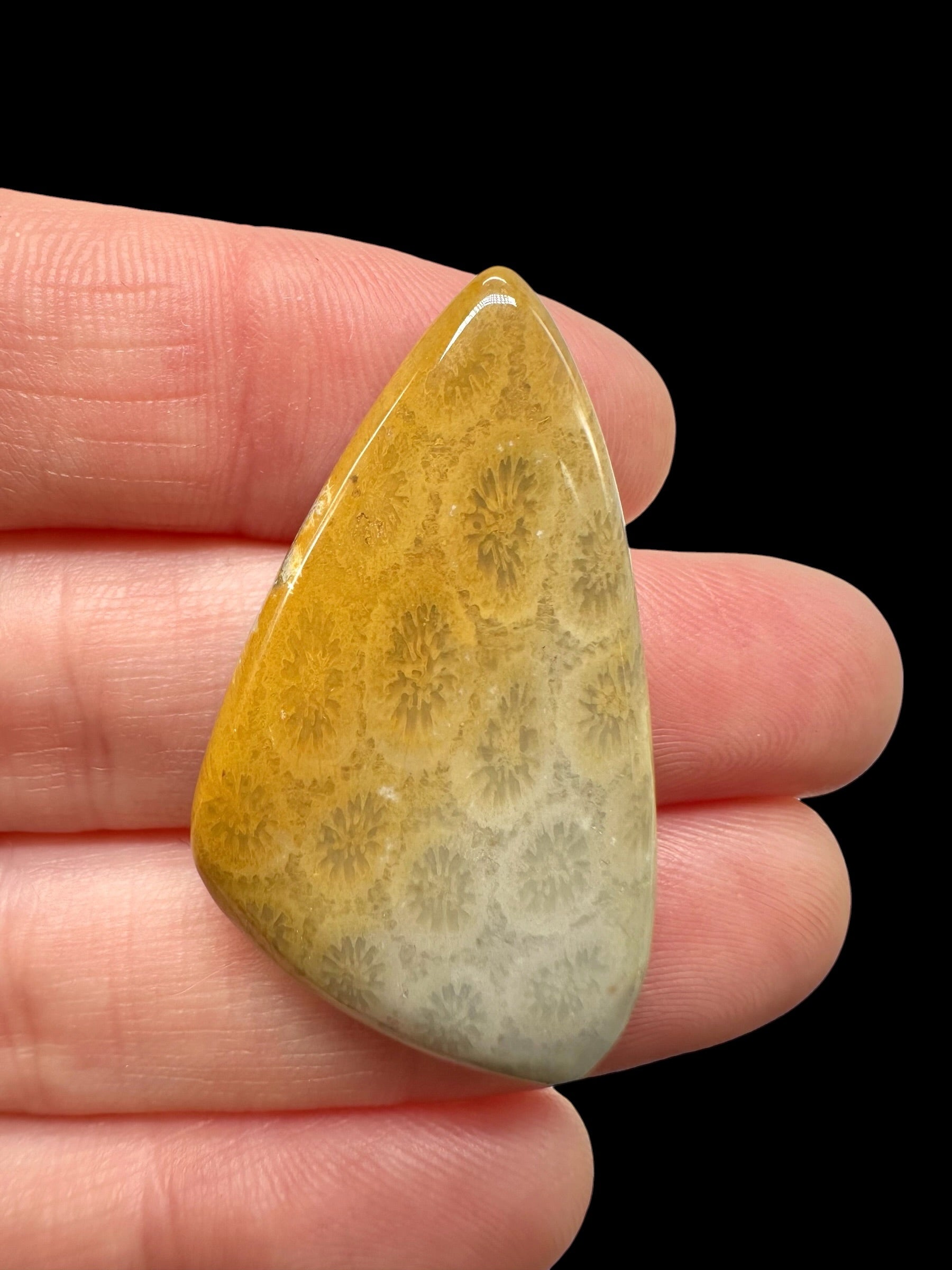 Fossil coral cabochon – Indonesia - FKK03