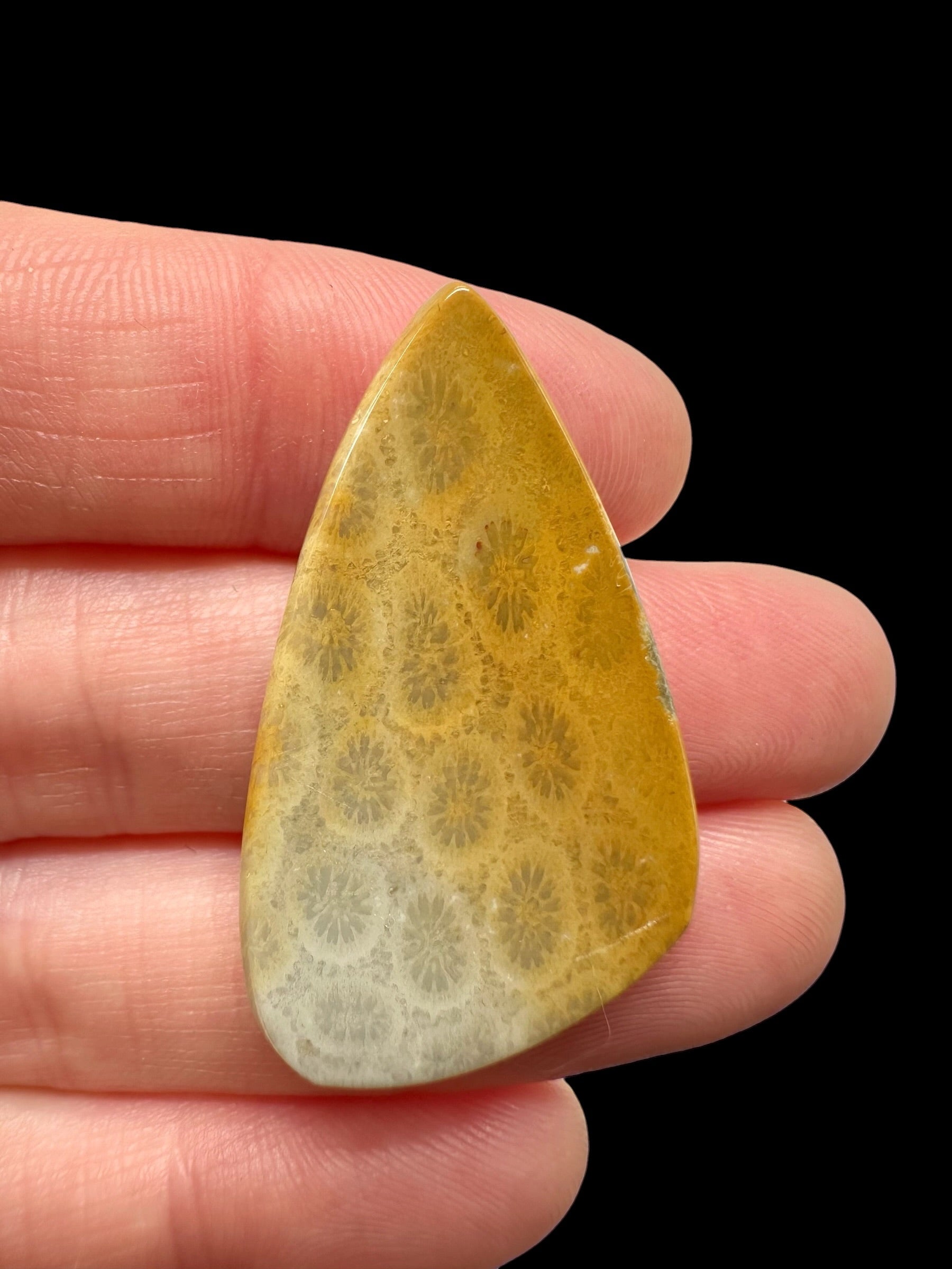 Fossil coral cabochon – Indonesia - FKK03