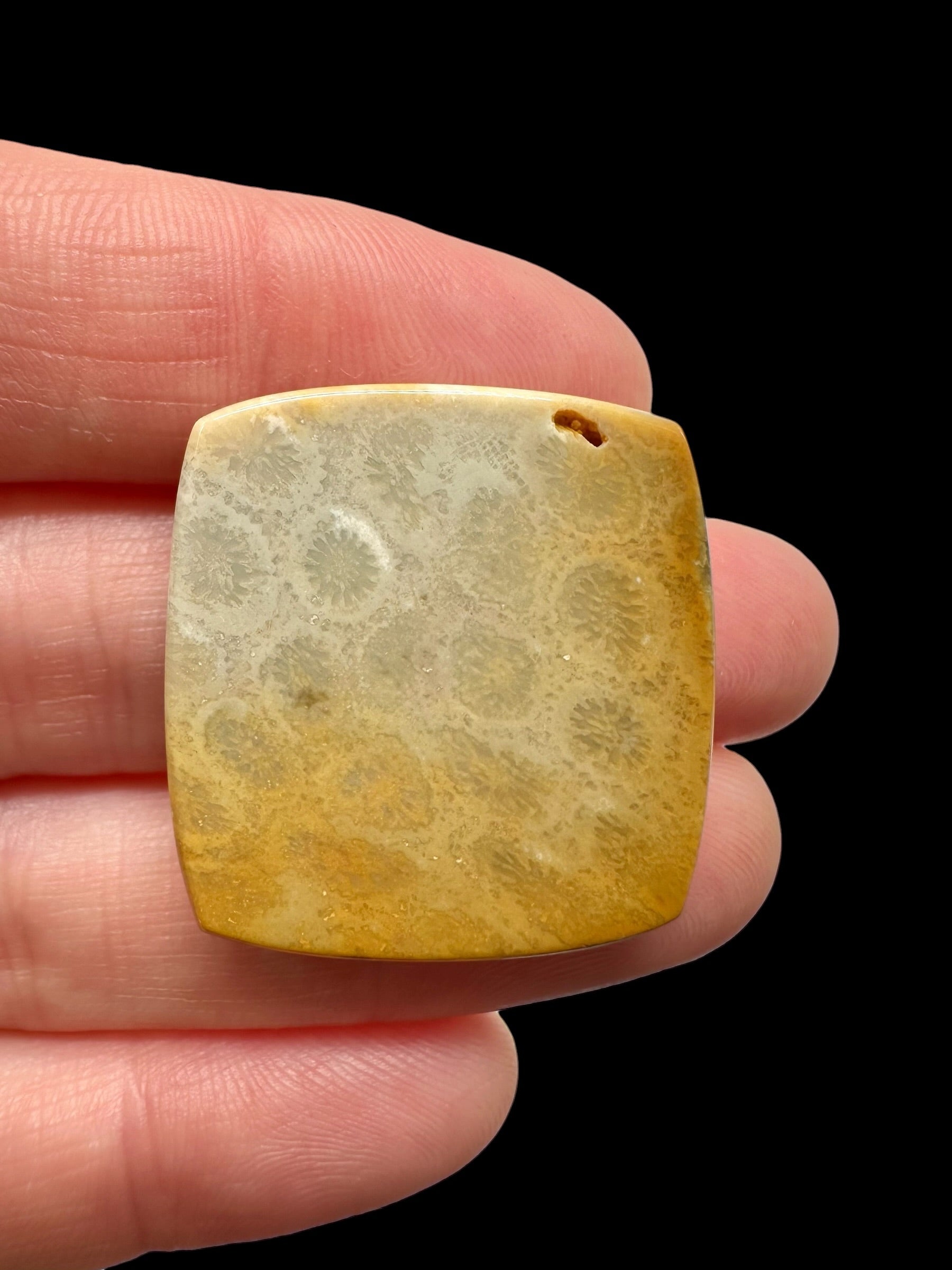 Fossil coral cabochon – Indonesia - FKK04
