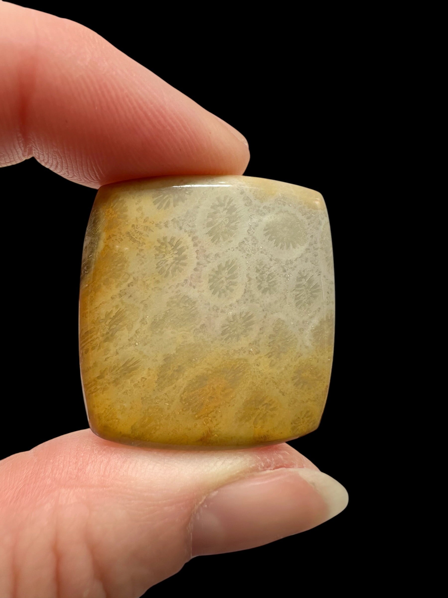 Fossil coral cabochon – Indonesia - FKK04