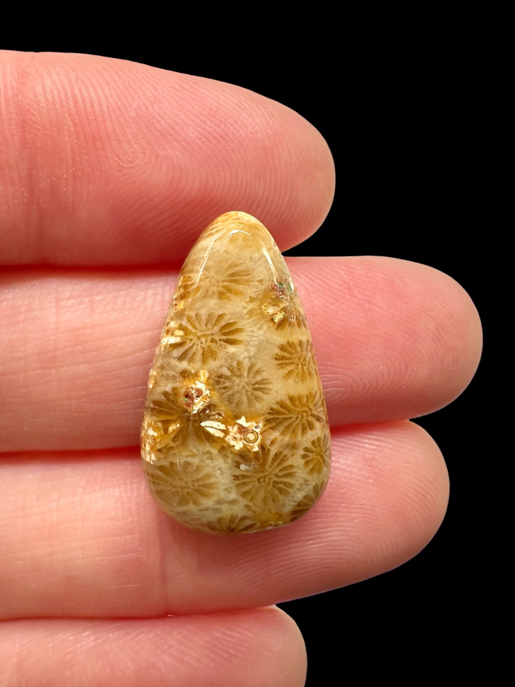 Fossil coral cabochon – Indonesia - FKK06
