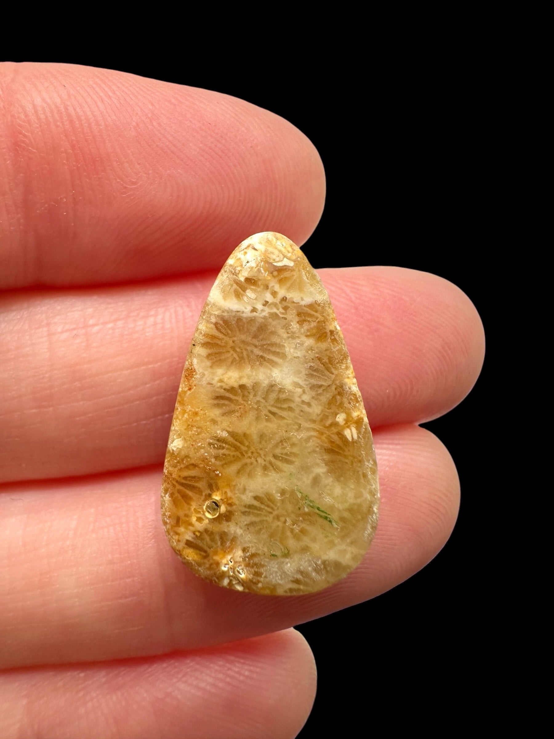 Fossil coral cabochon – Indonesia - FKK06