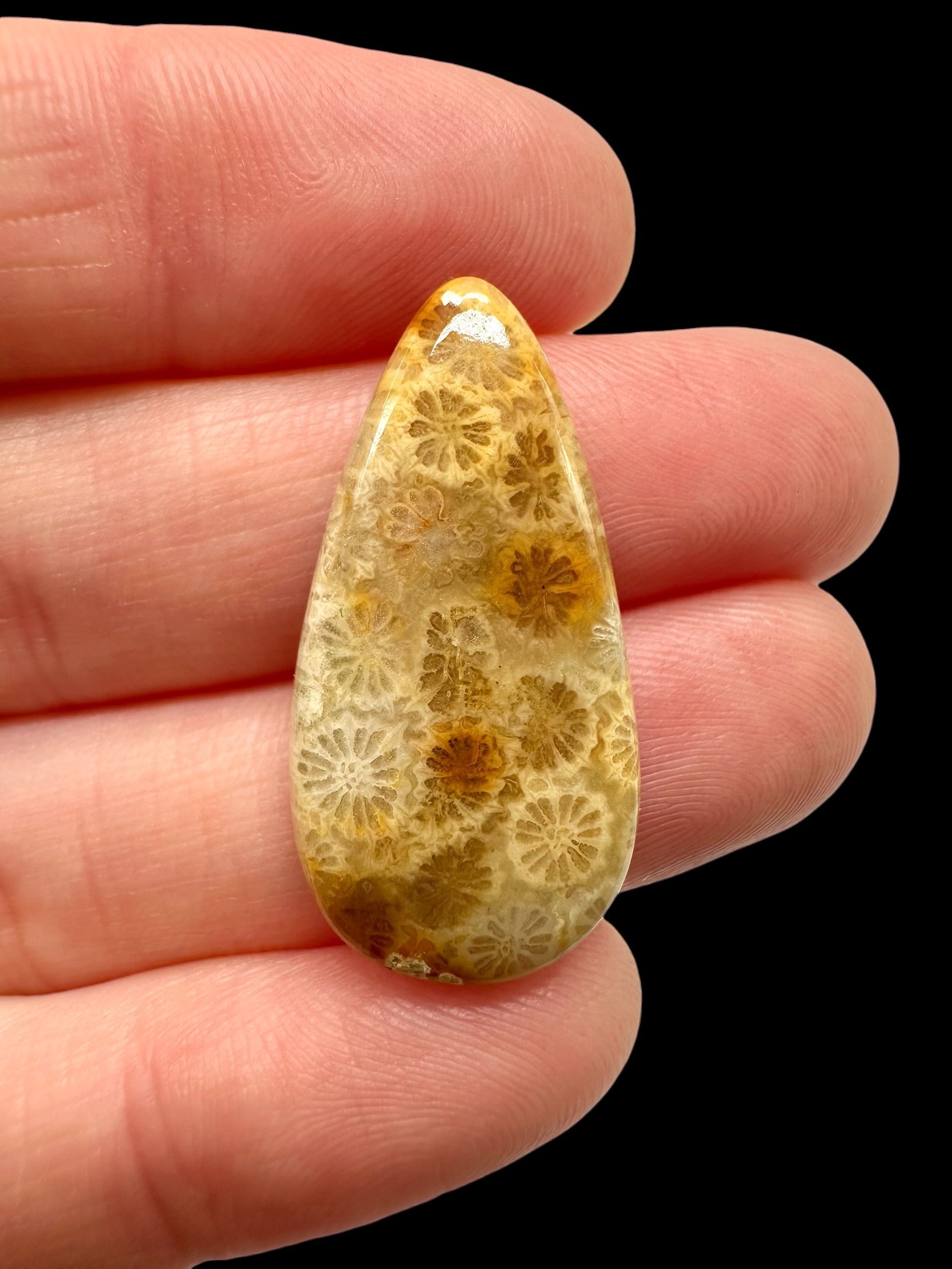 Fossil coral cabochon – Indonesia - FKK09
