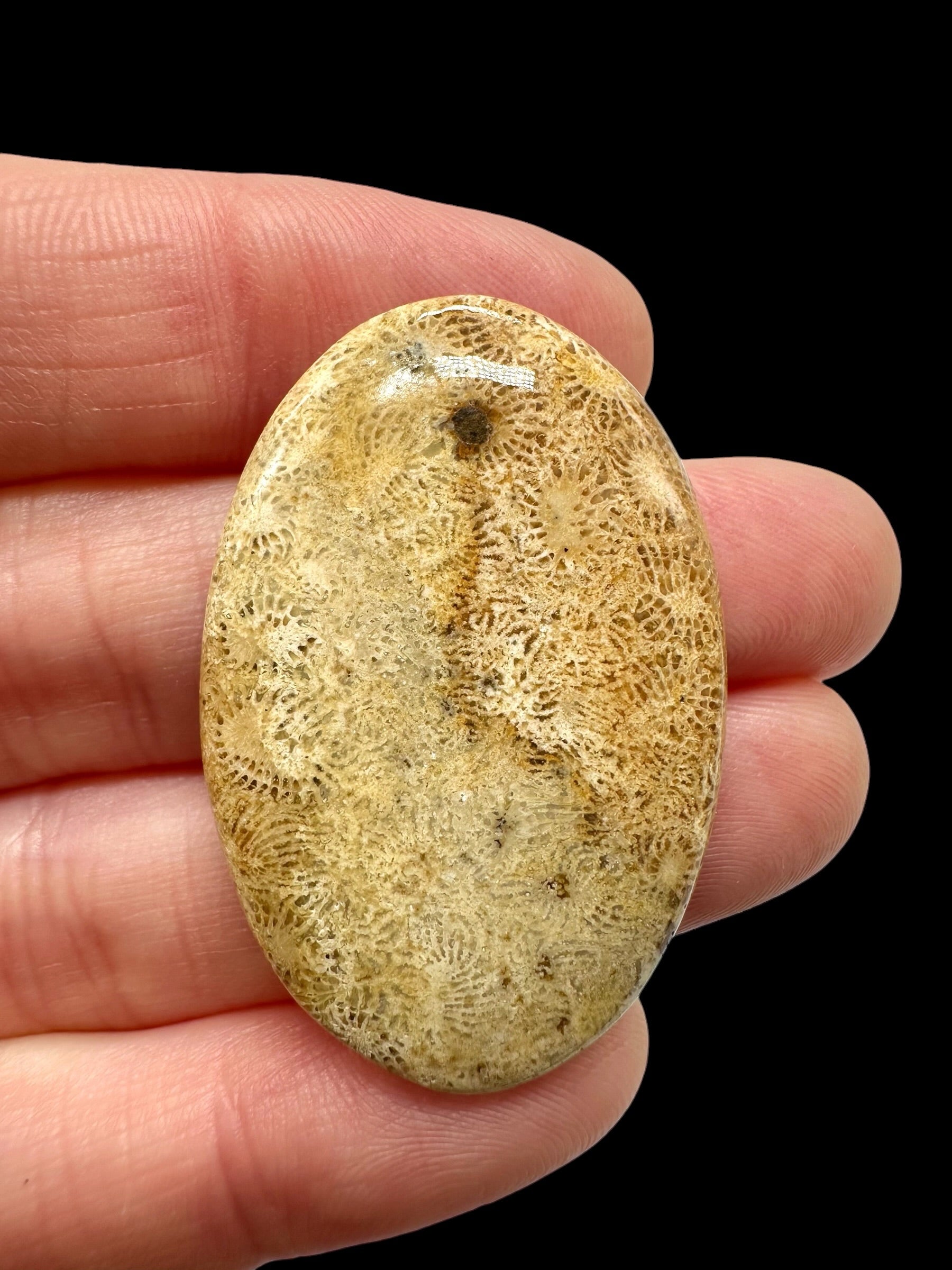 Fossil coral cabochon – Indonesia - FKK11
