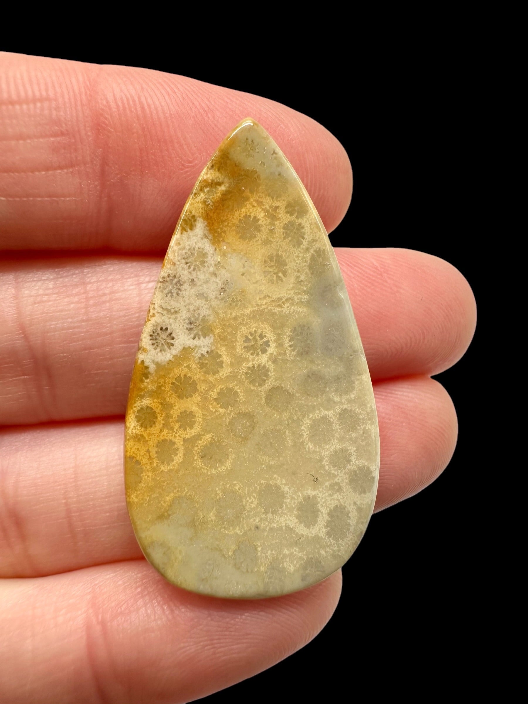 Fossil coral cabochon – Indonesia - FKK12