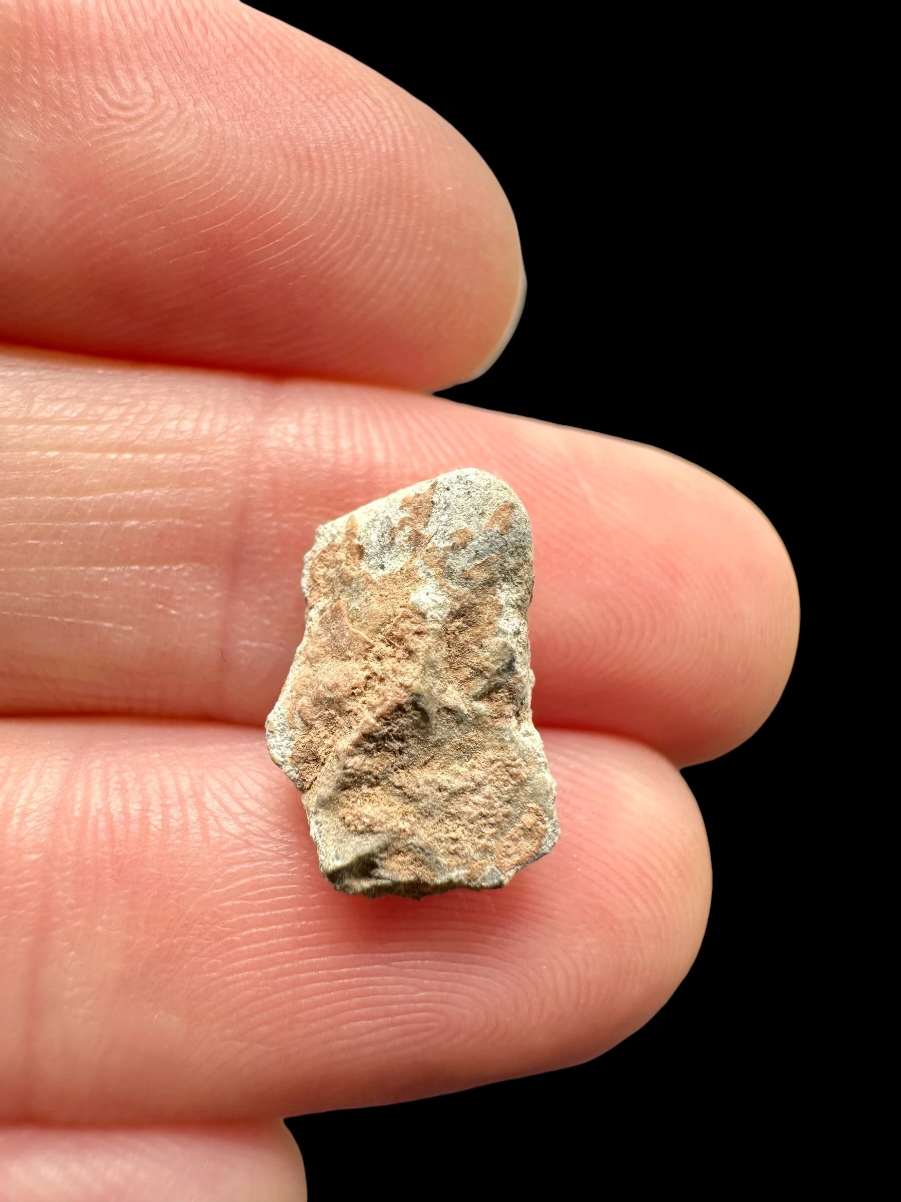Lunar meteorite Bechar 007 – 0,6g – Algeria - MEBA128