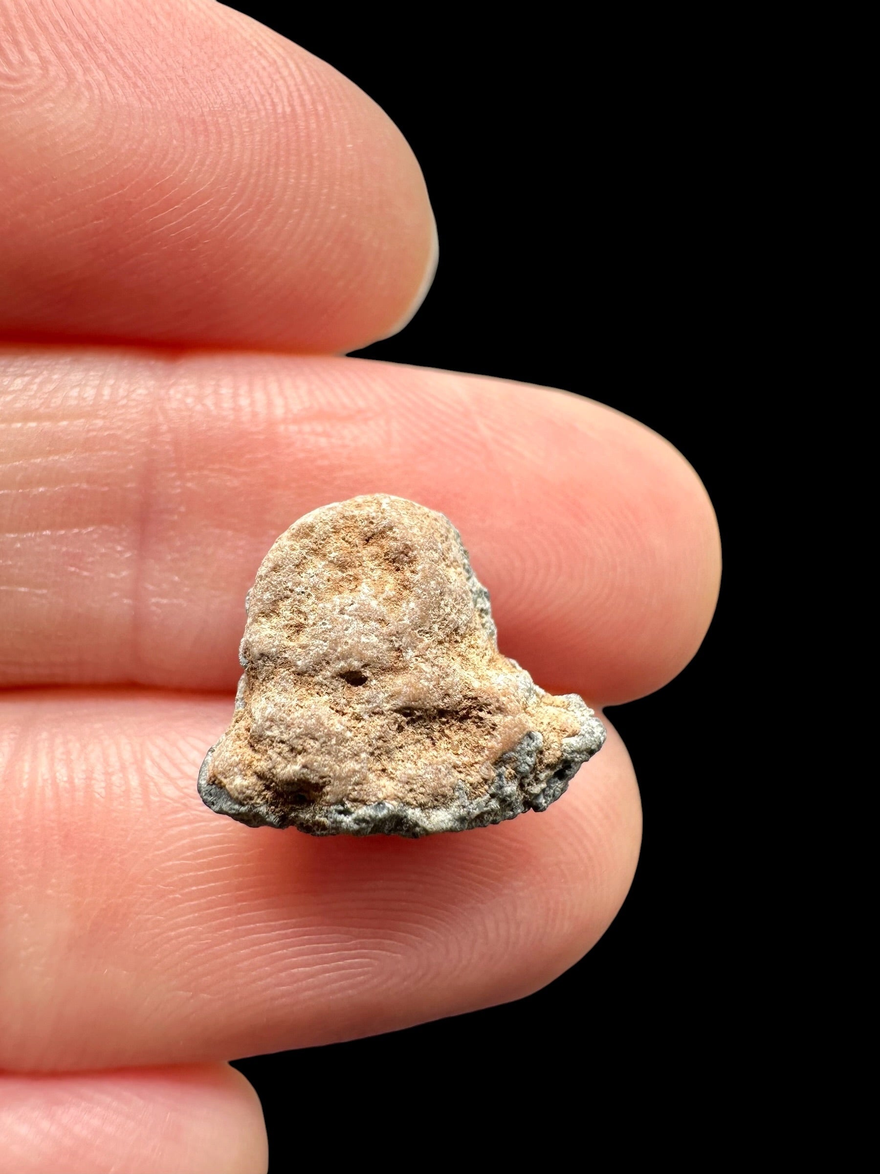 Lunar meteorite Bechar 007 – 0,8g – Algeria