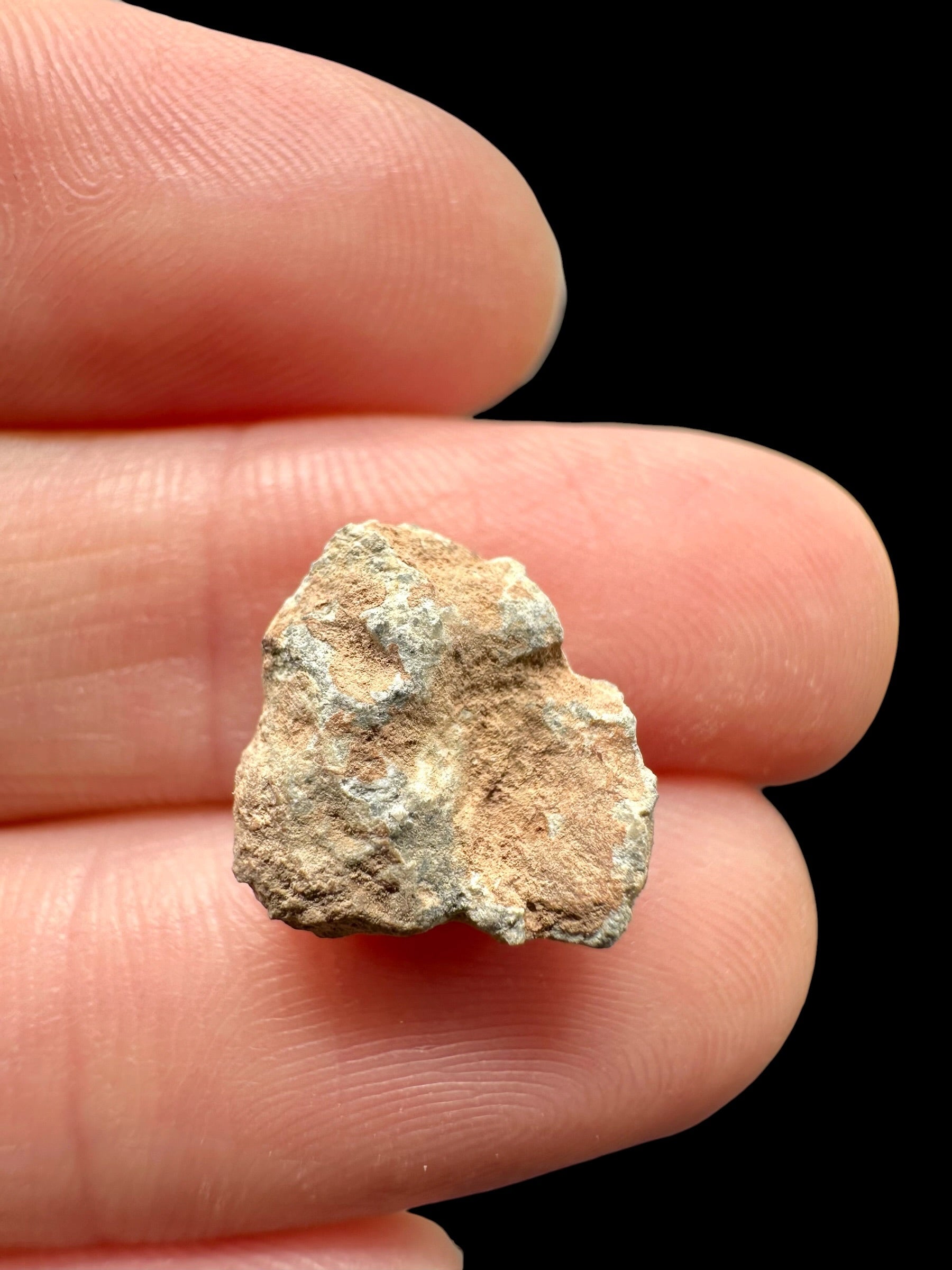 Lunar meteorite Bechar 007 – 0,9g – Algeria - MEBA134