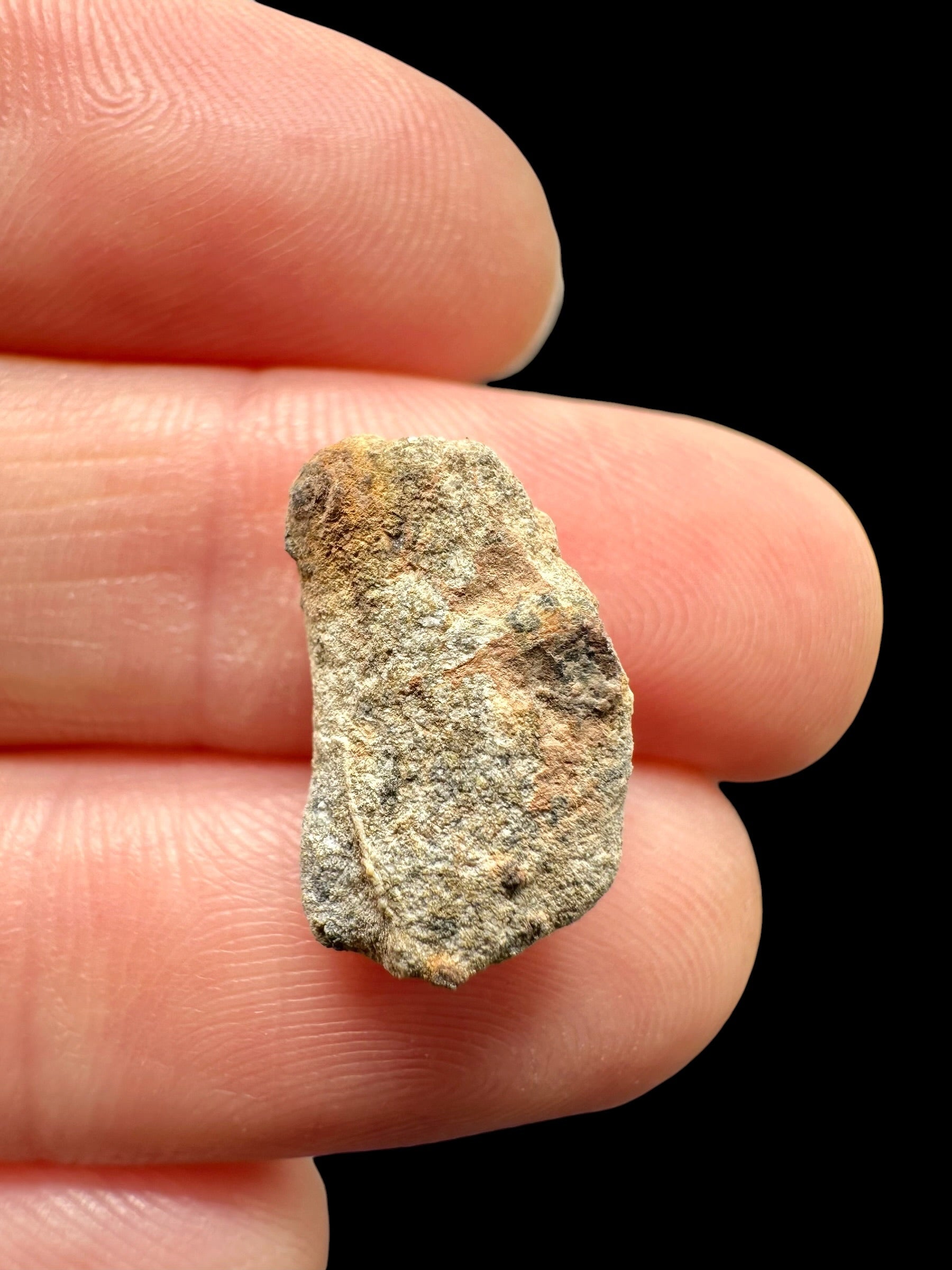 Lunar meteorite Bechar 007 – 0,9g – Algeria - MEBA135