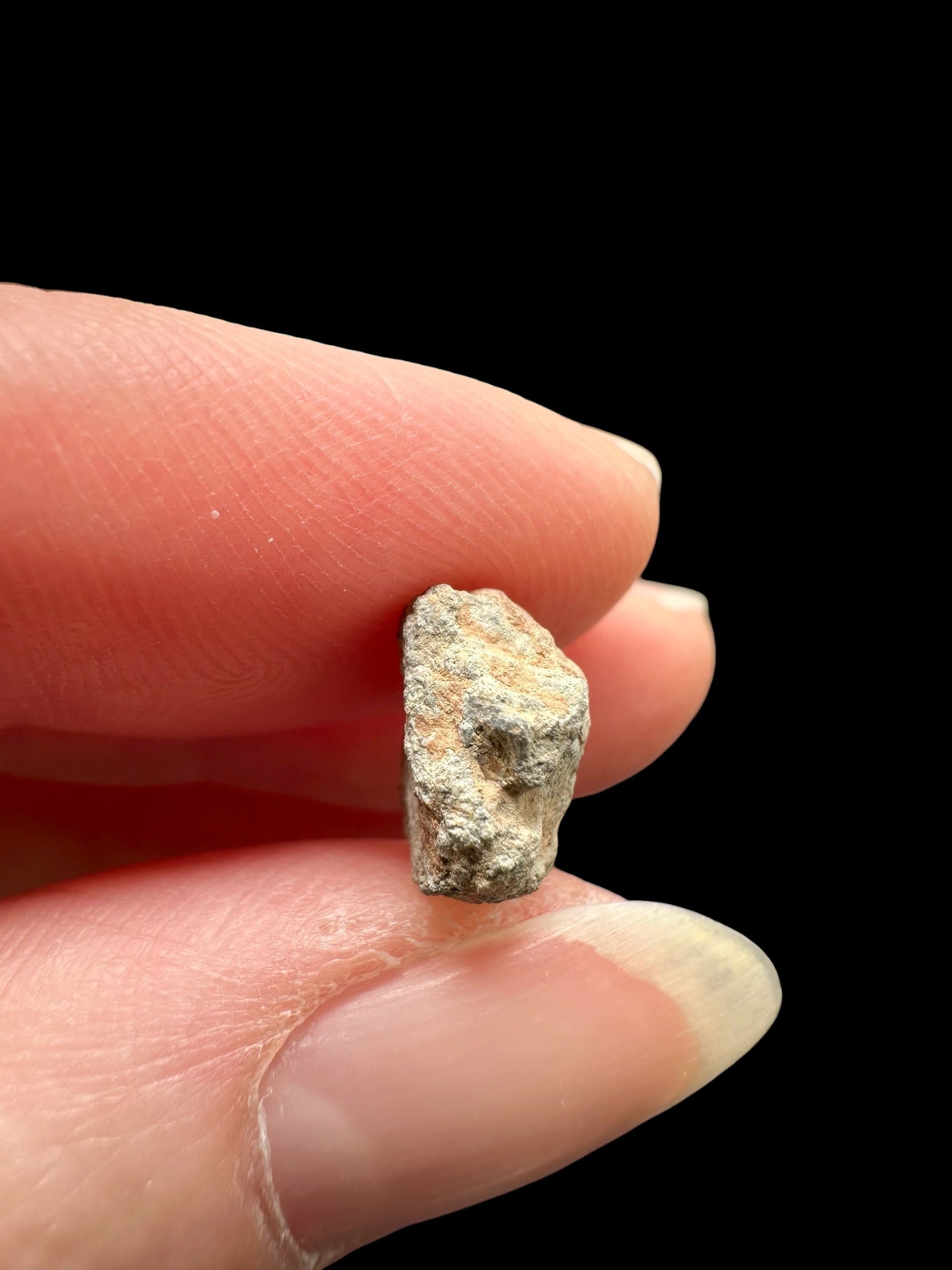 Lunar meteorite Bechar 007 – 0,6g – Algeria - MEBA138