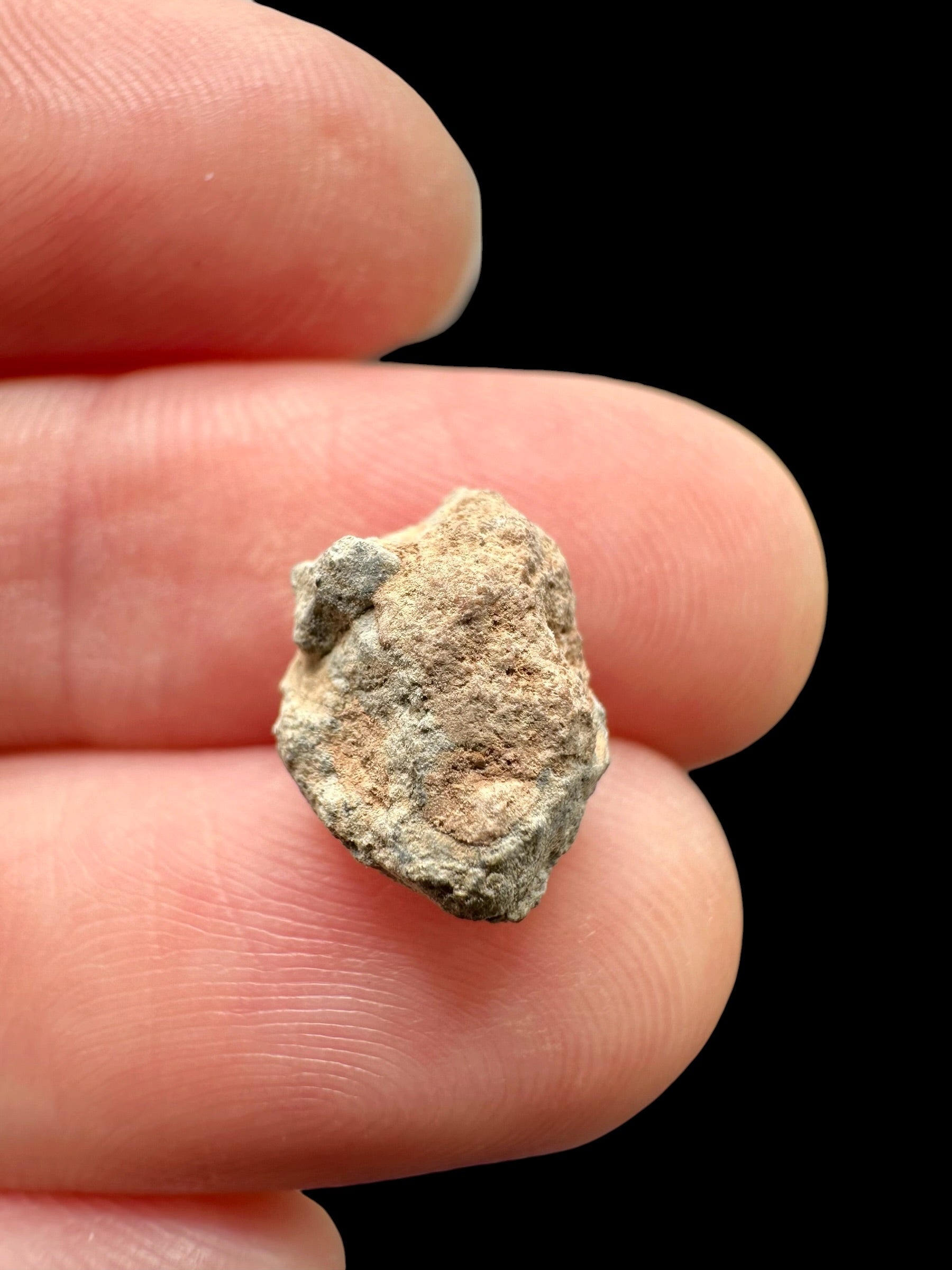 Lunar meteorite Bechar 007 – 0,6g – Algeria