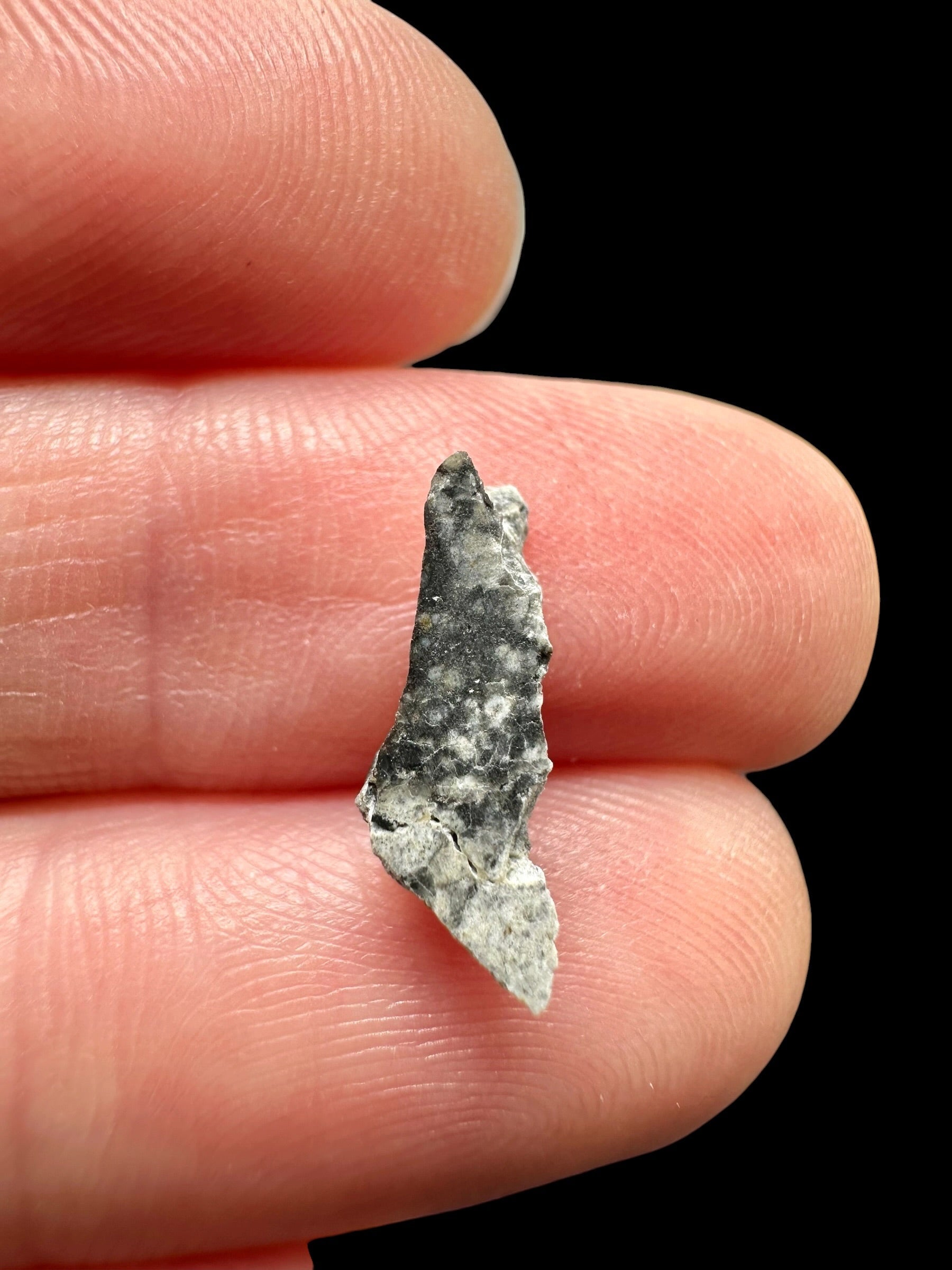 Lunar meteorite Ouargla 008 – 0,2g – Algeria - MEOU36