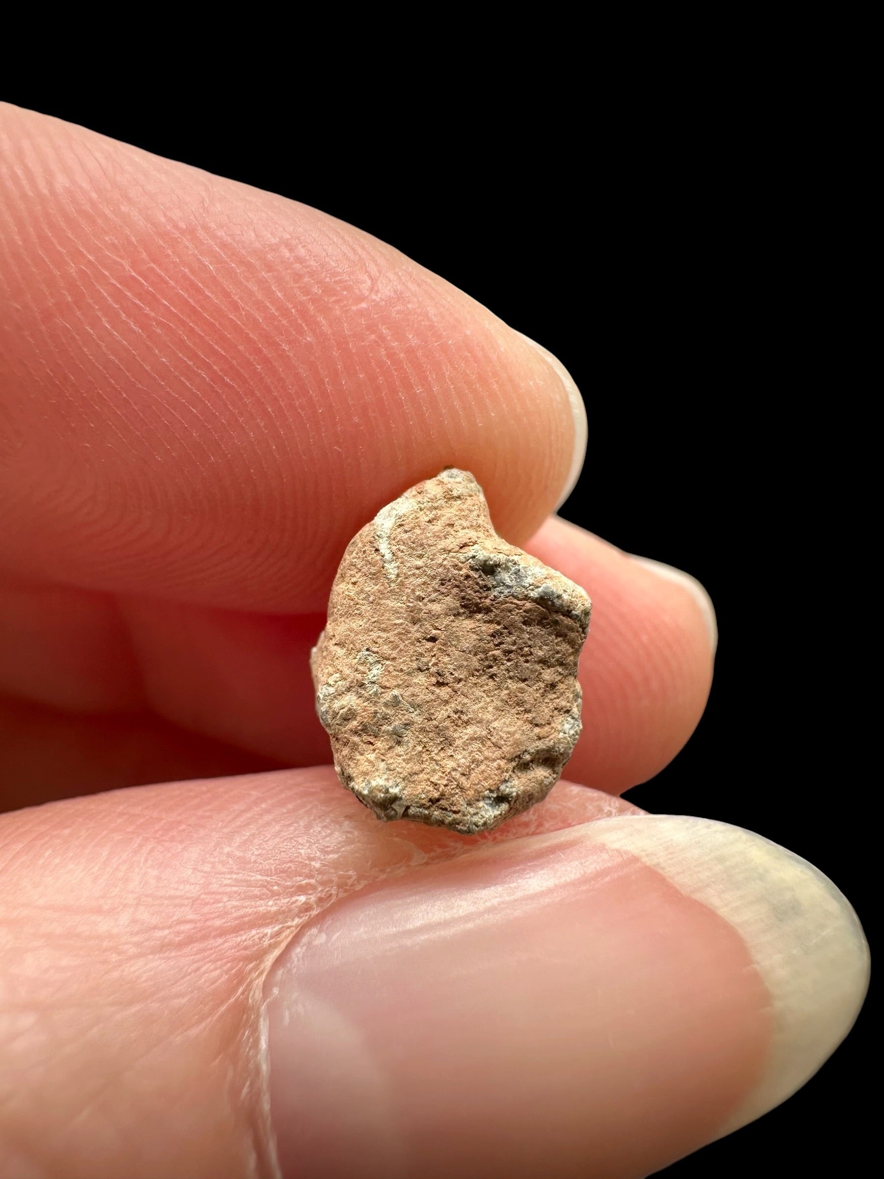 Lunar meteorite Bechar 007 – 0,6g – Algeria - MEBA142