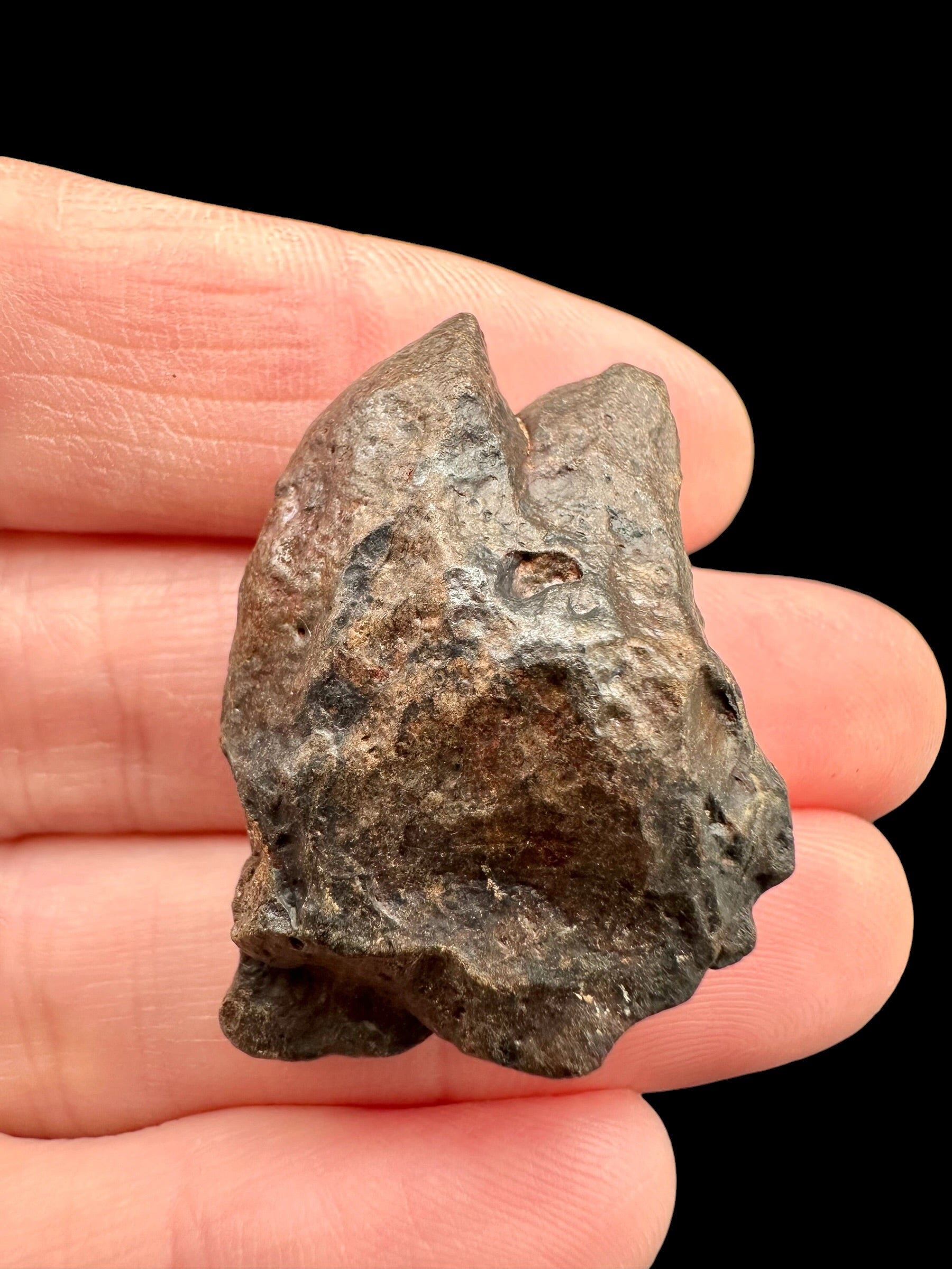 Meteorite NWA X – 11,8g – Northwest Africa - MENX25