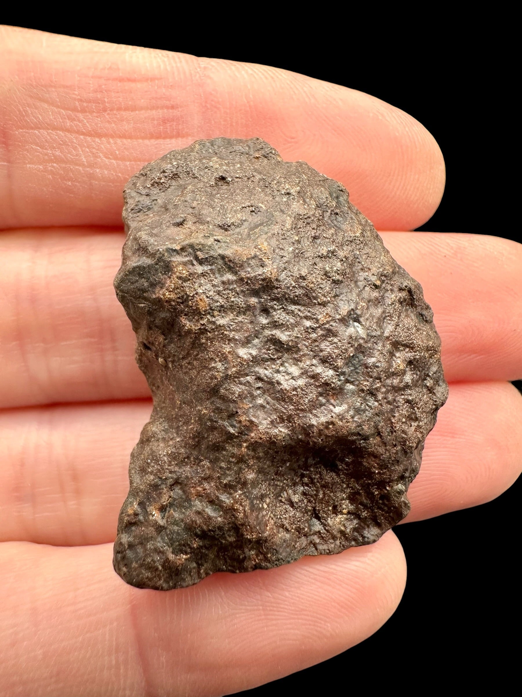 Meteorite NWA X – 11,7g – Northwest Africa - MENX27