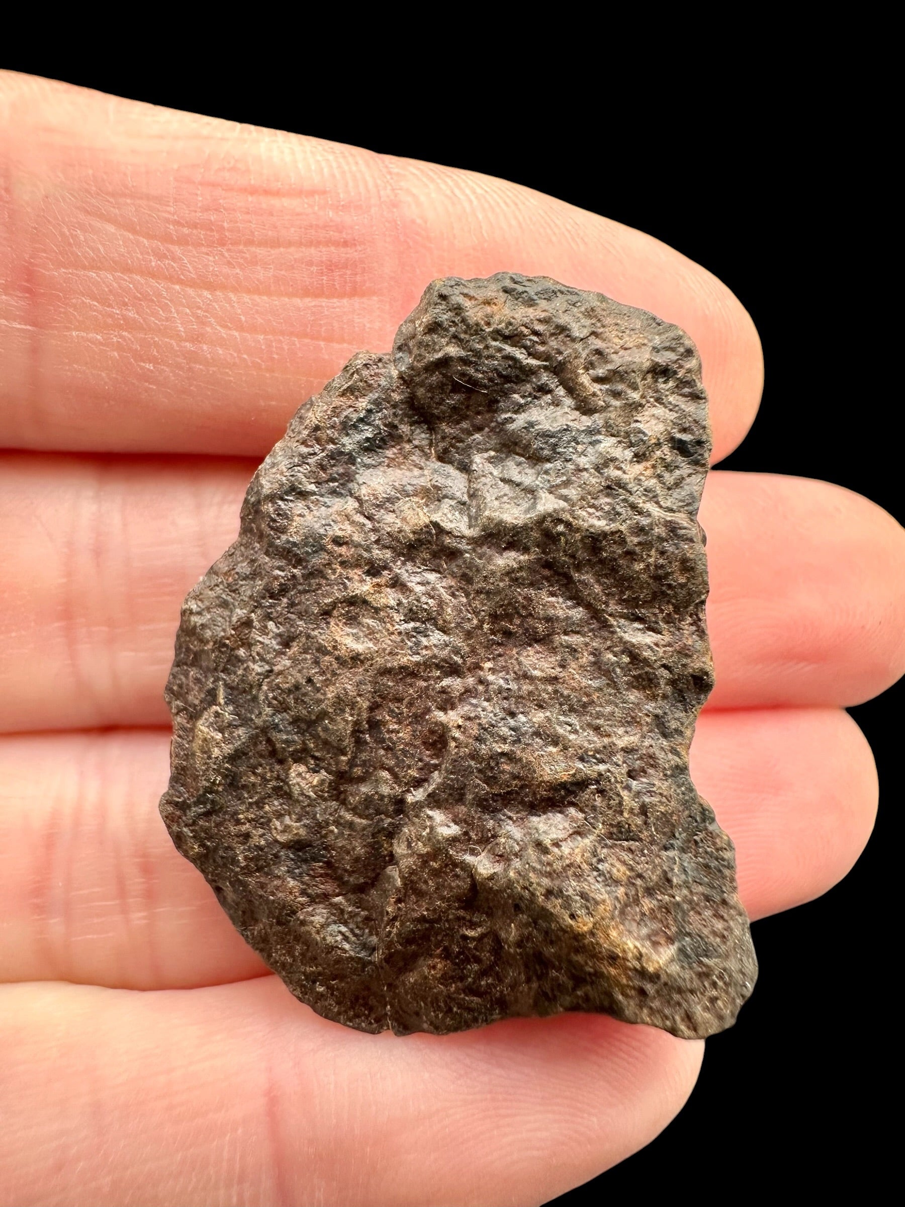 Meteorite NWA X – 11,7g – Northwest Africa