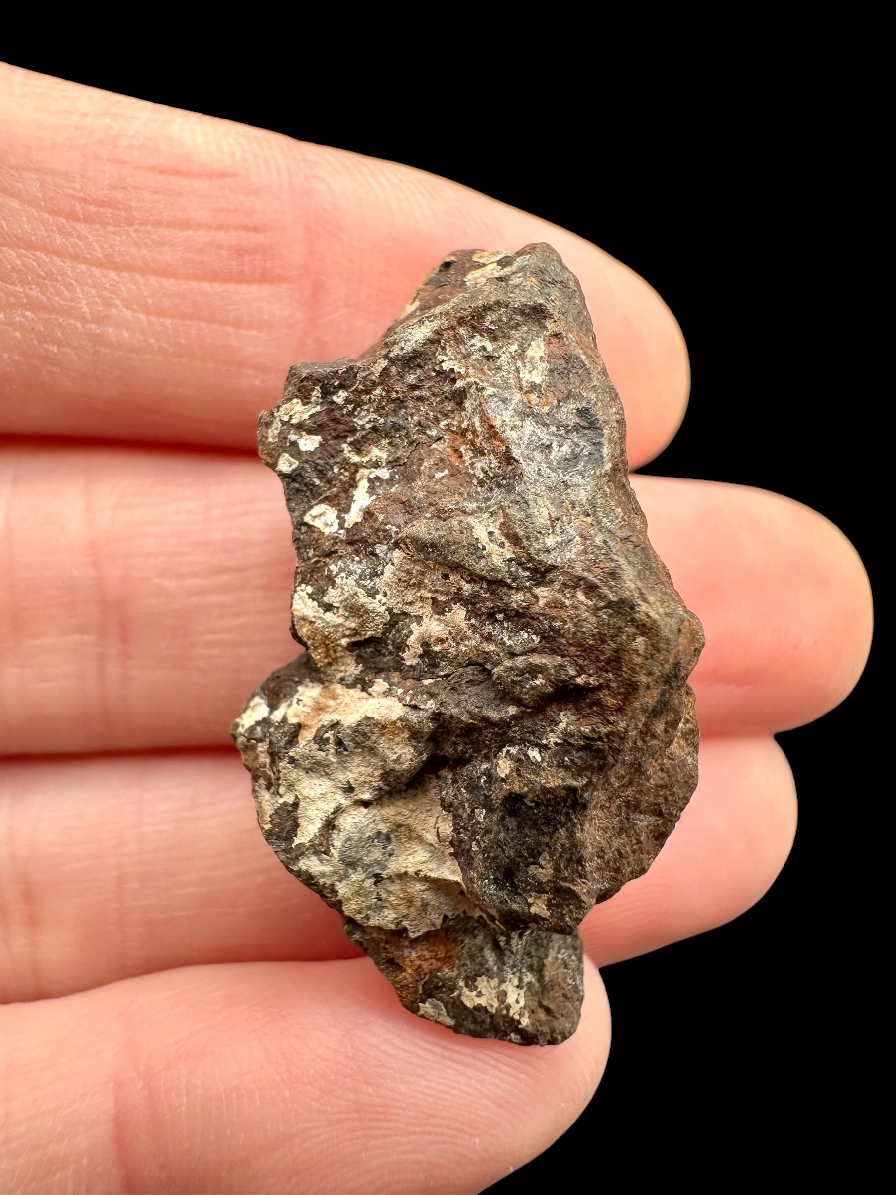 Meteorite NWA X – 10,6g – Northwest Africa - MENX29