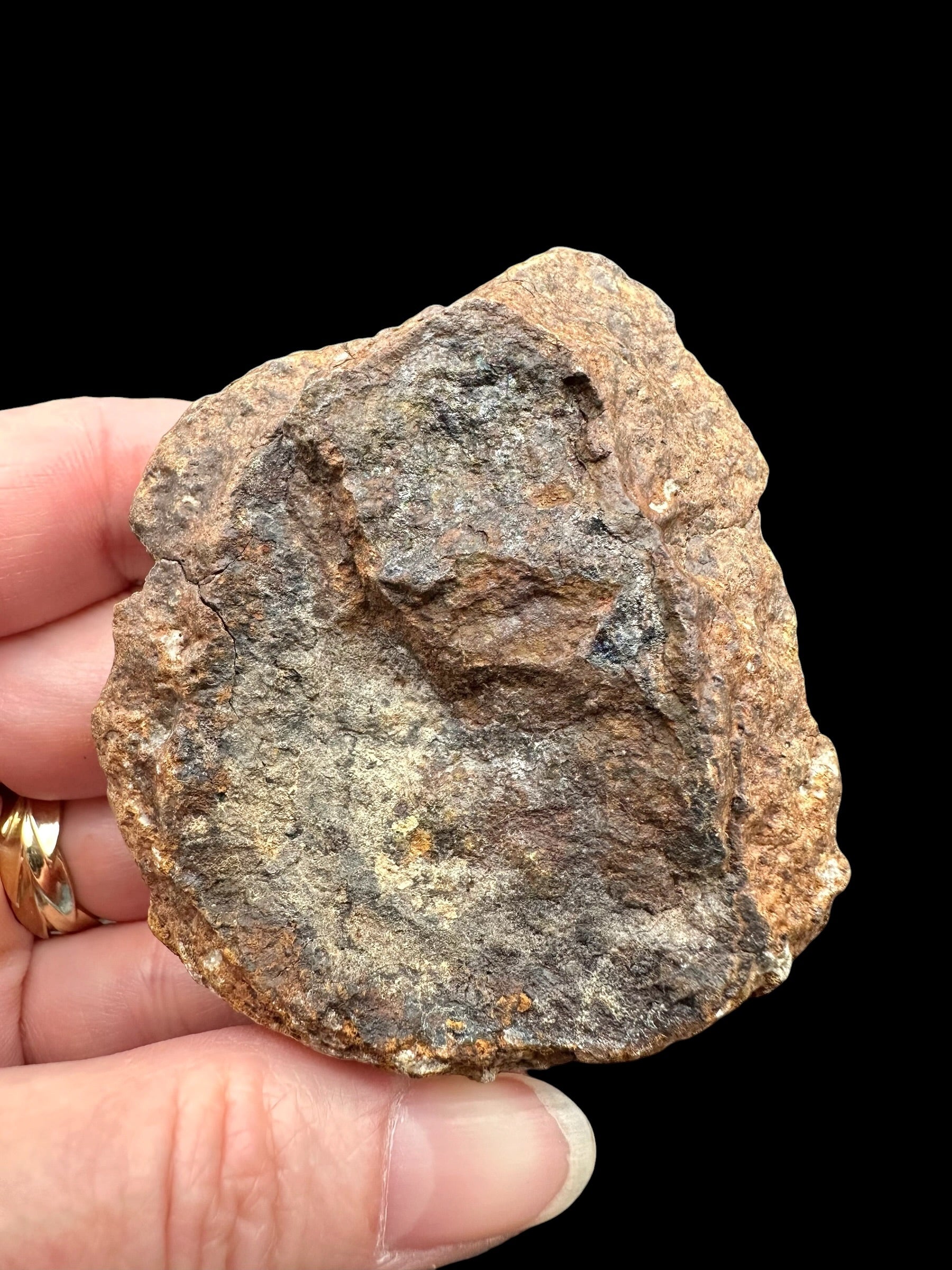 Meteorite NWA X – 92,6g – Northwest Africa - MENX30