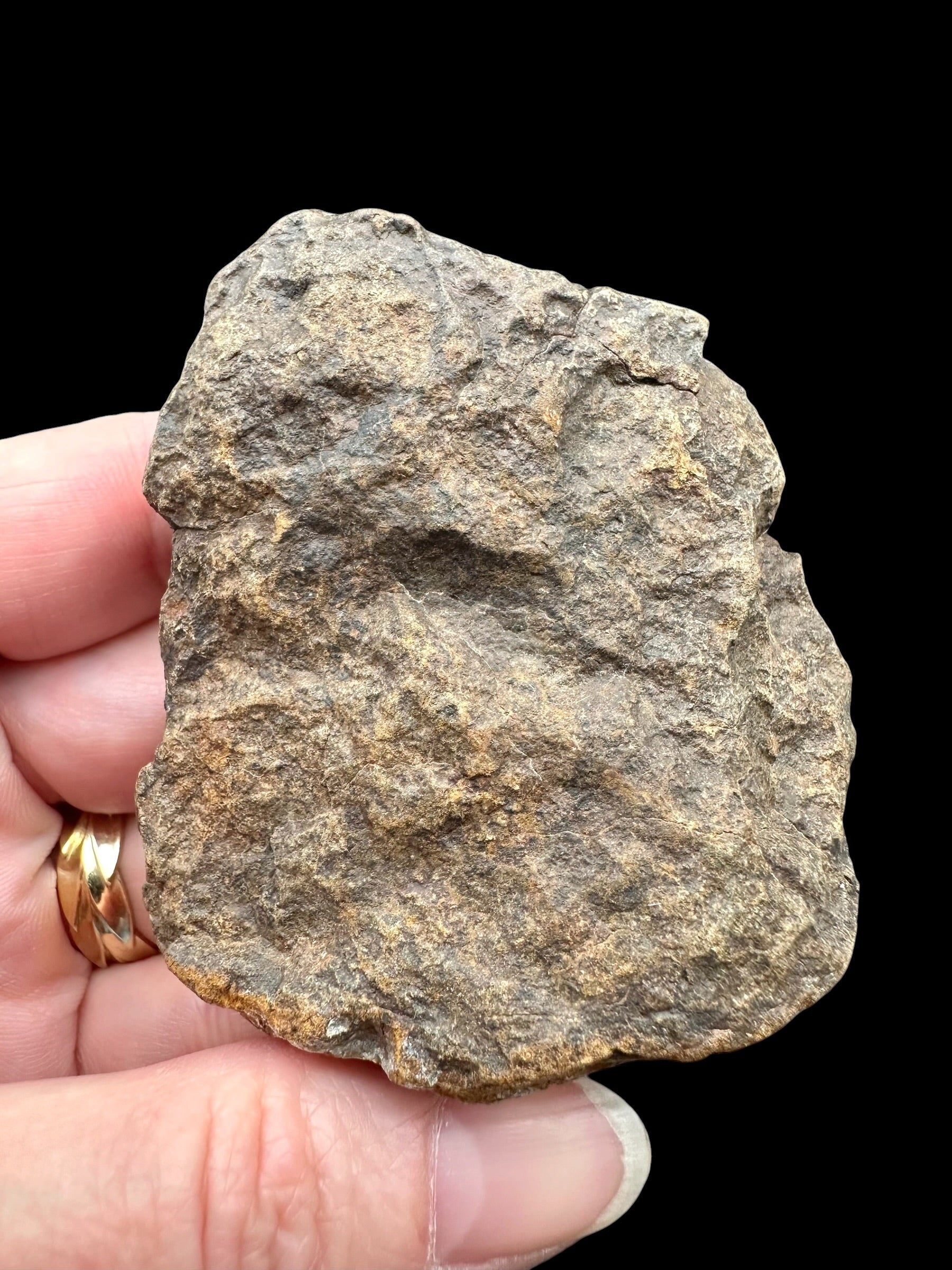 Meteorite NWA X – 92,6g – Northwest Africa