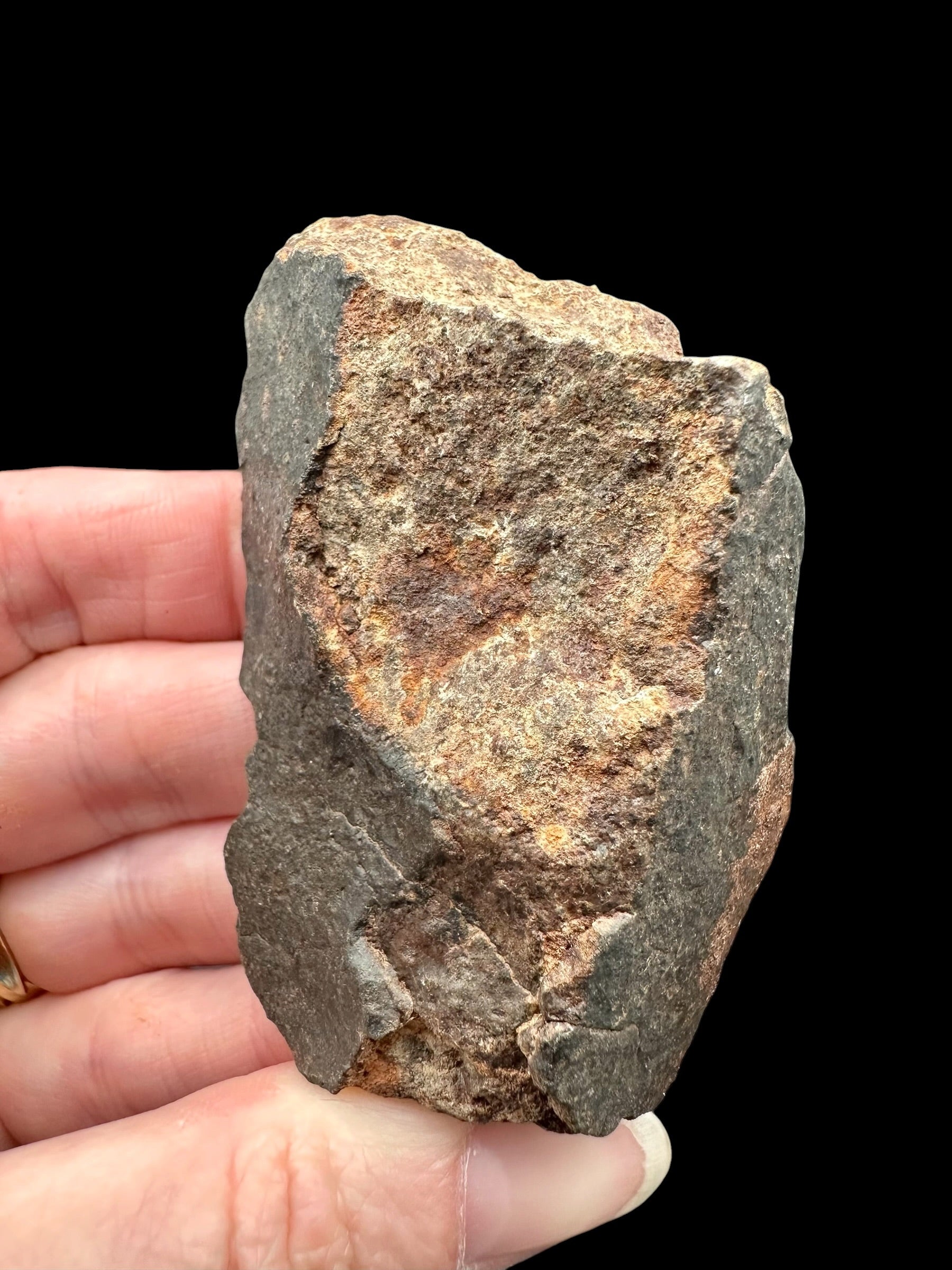 Meteorite NWA X – 89,1g – Northwest Africa - MENX31
