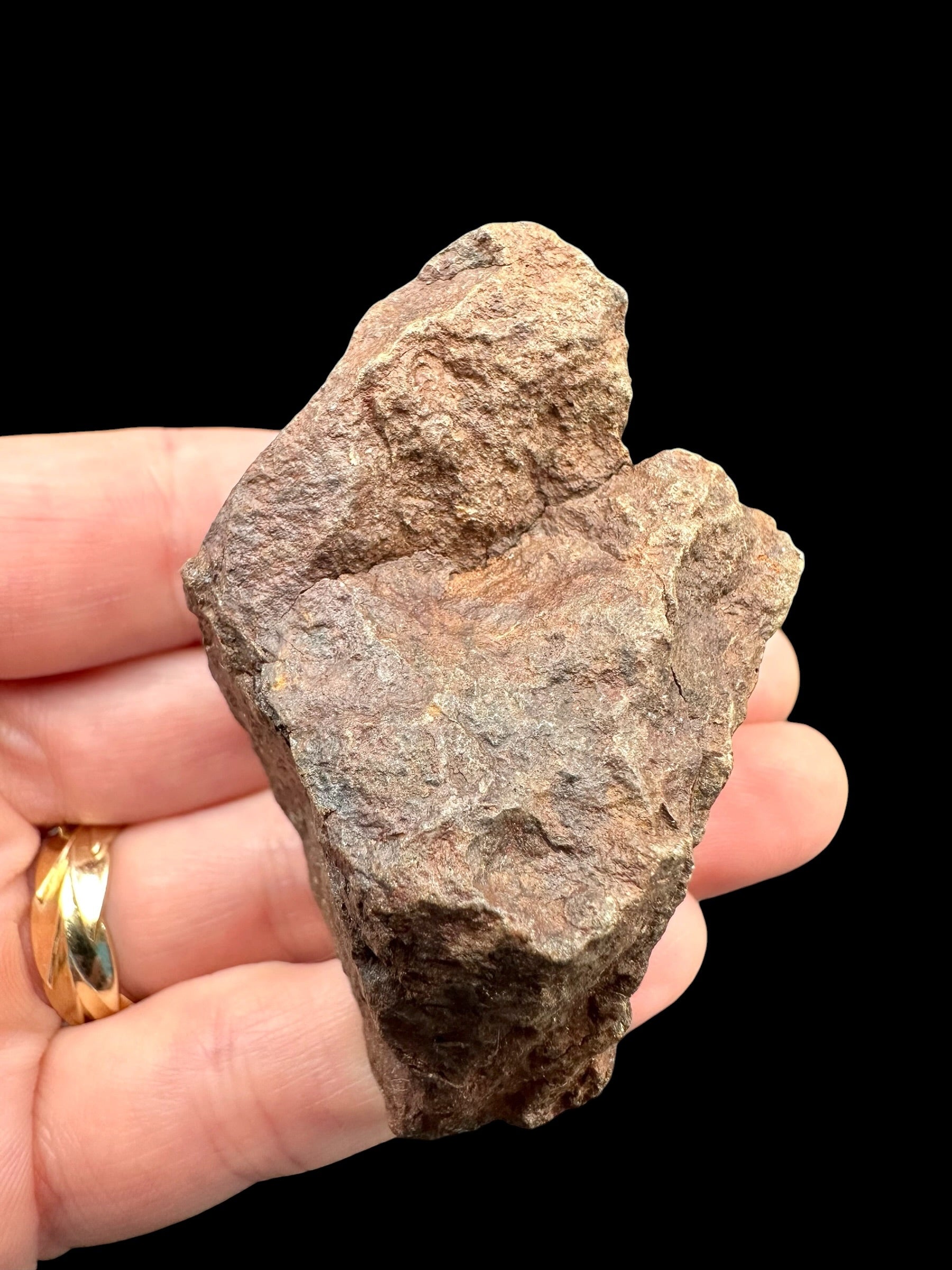 Meteorite NWA X – 78,4g – Northwest Africa - MENX34