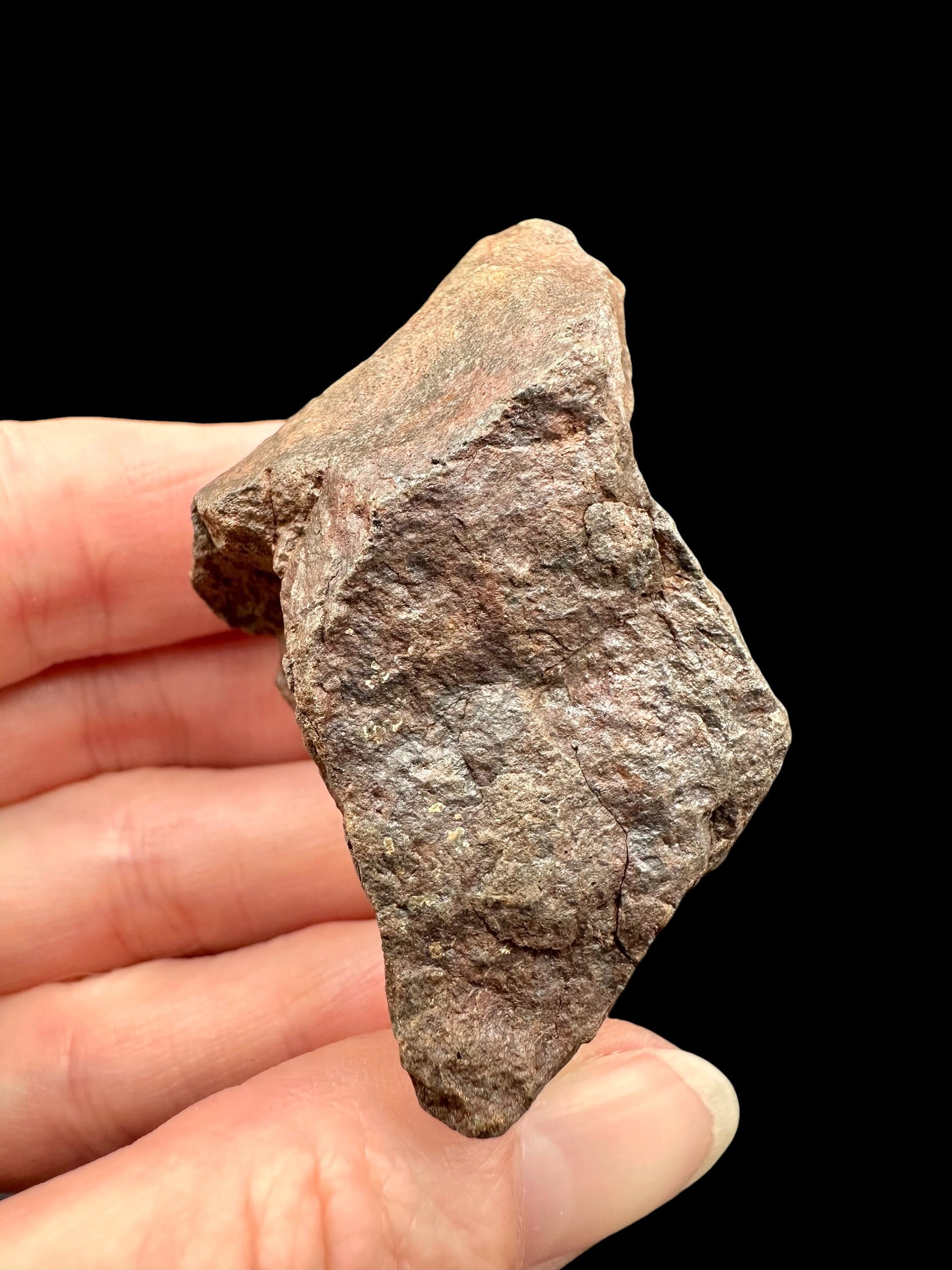 Meteorite NWA X – 78,4g – Northwest Africa - MENX34