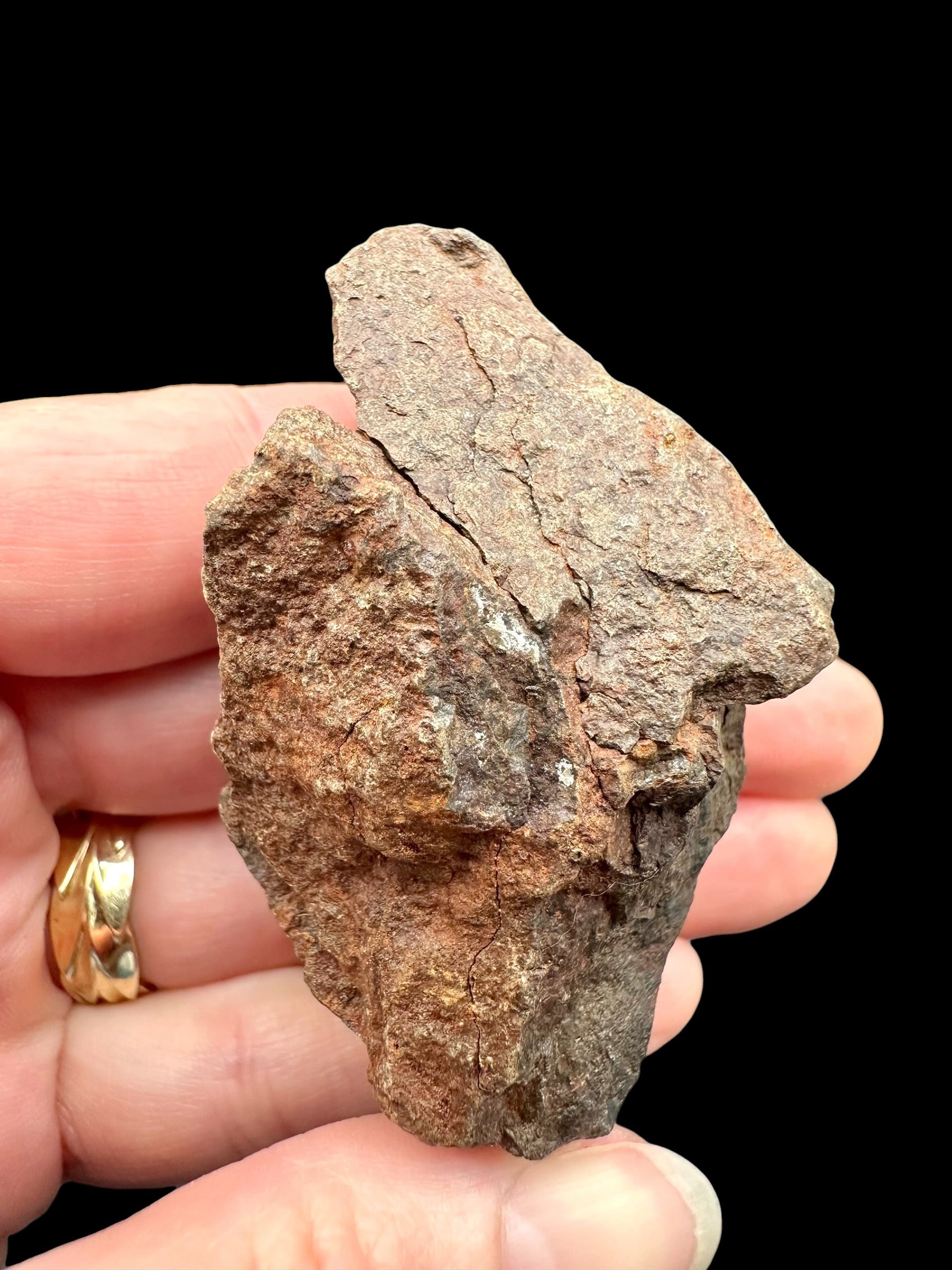 Meteorite NWA X – 78,4g – Northwest Africa