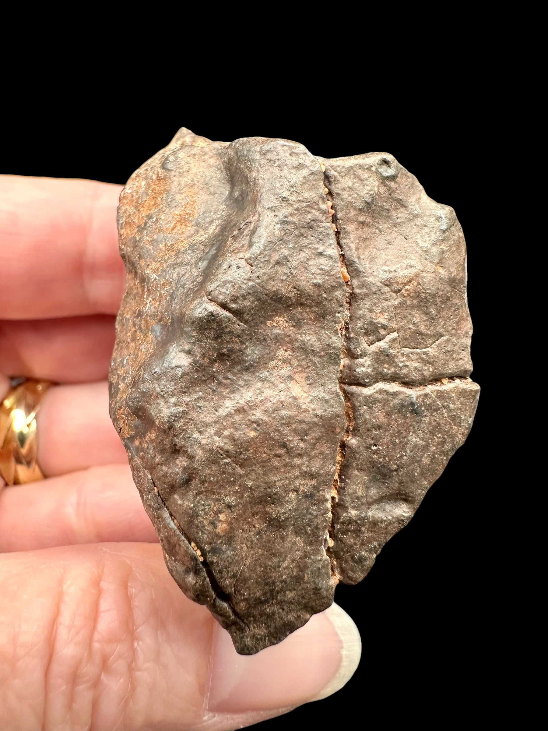 Meteorite NWA X – 74,6g – Northwest Africa - MENX35