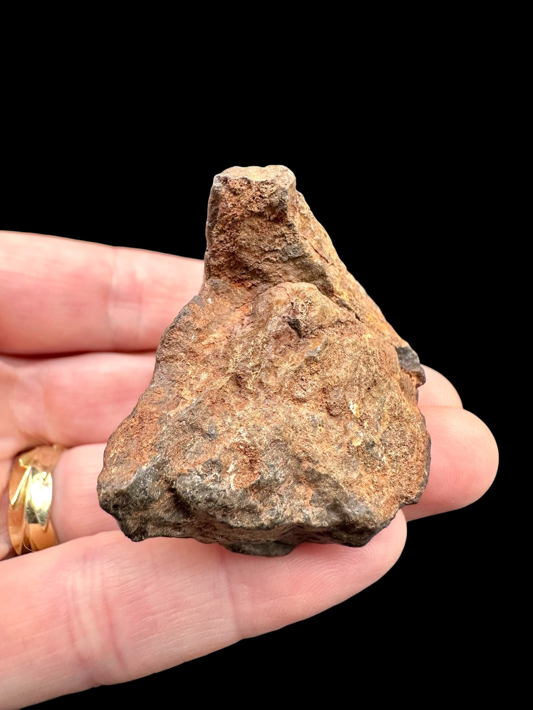 Meteorite NWA X – 74,6g – Northwest Africa - MENX35