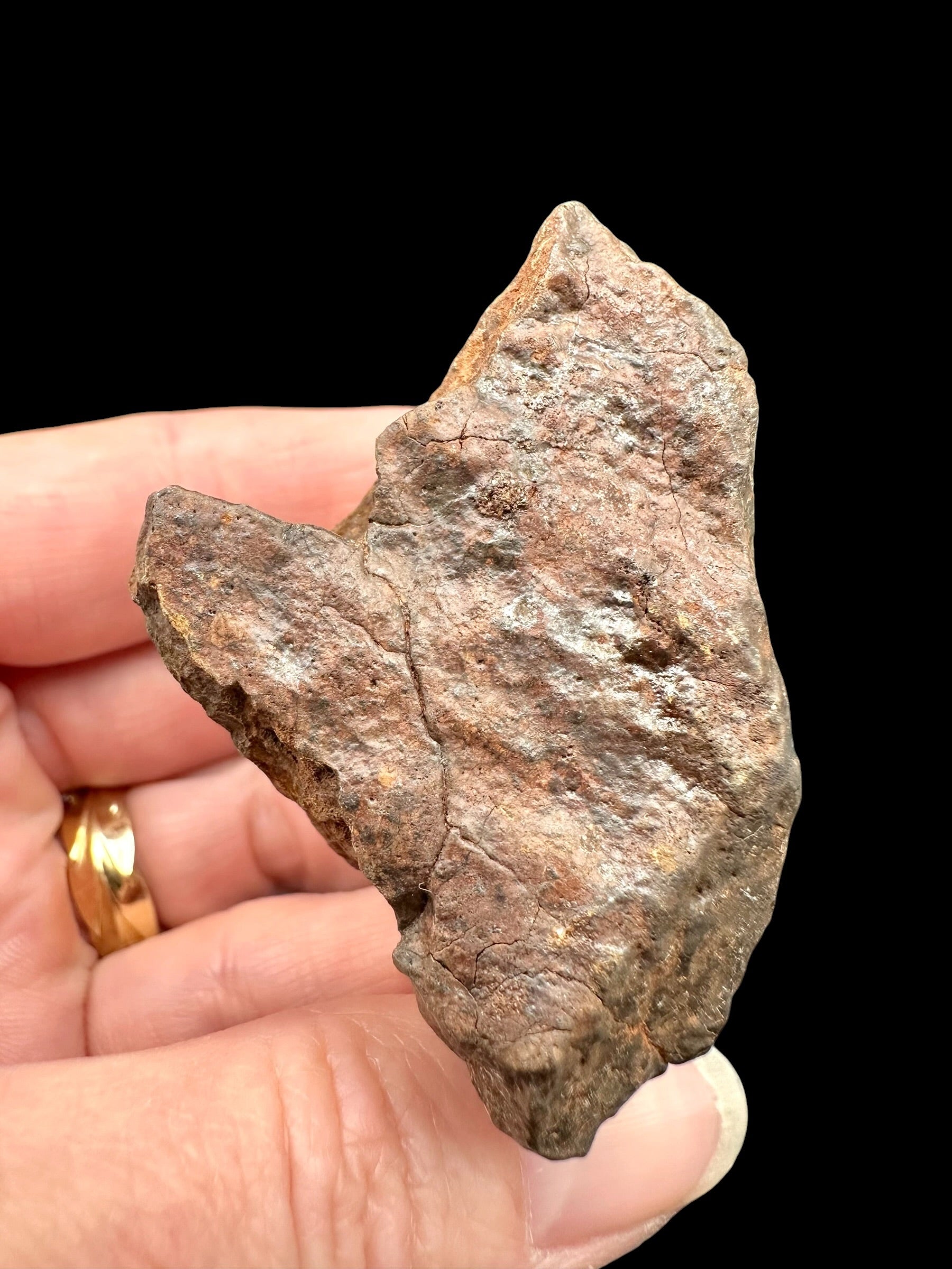 Meteorite NWA X – 74,6g – Northwest Africa