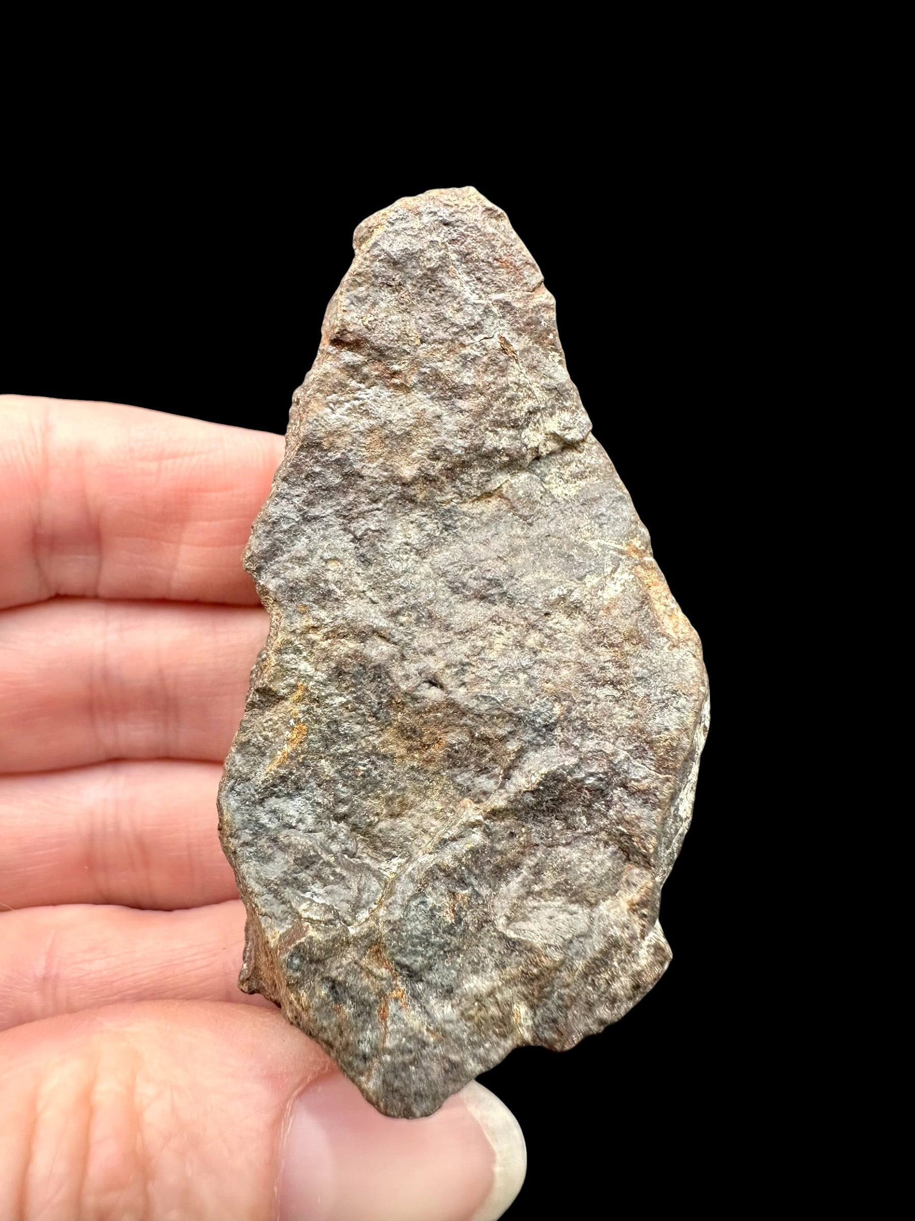 Meteorite NWA X – 72,8g – Northwest Africa - MENX36