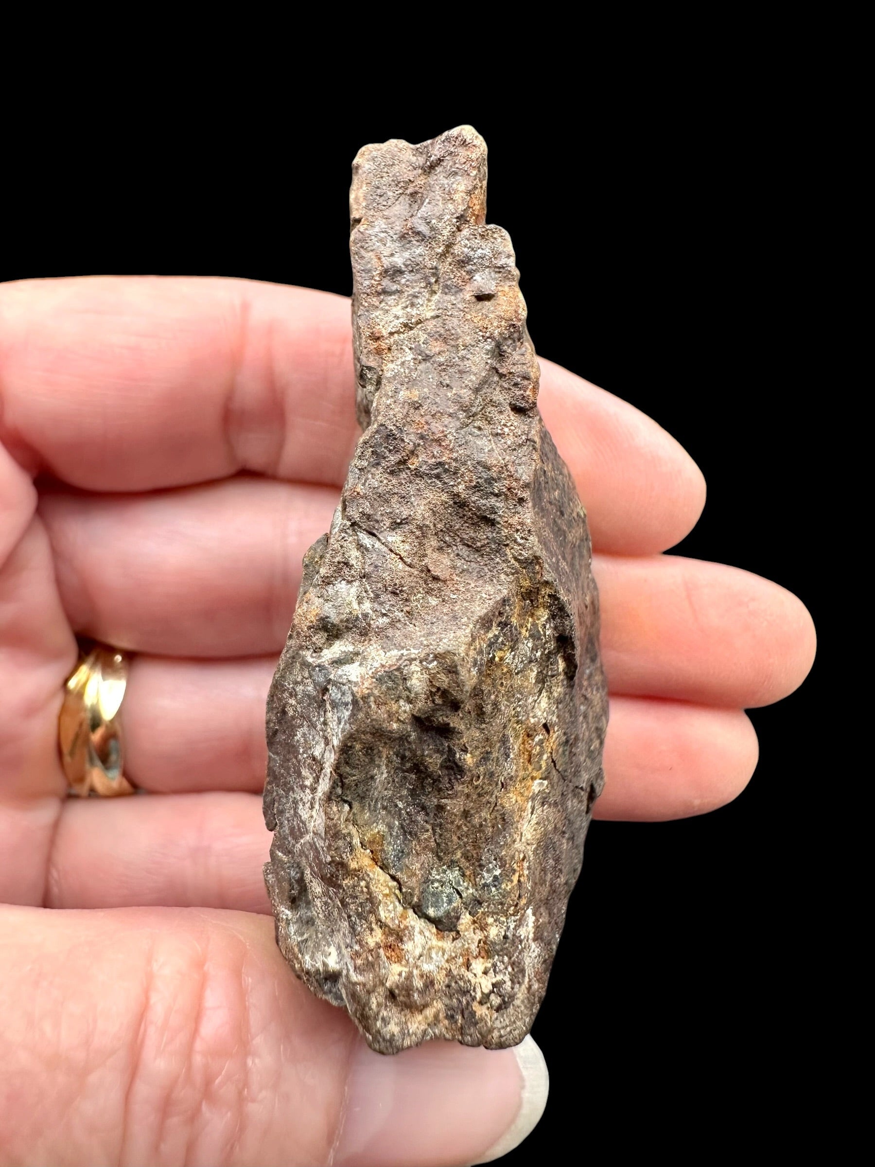 Meteorite NWA X – 72,8g – Northwest Africa - MENX36